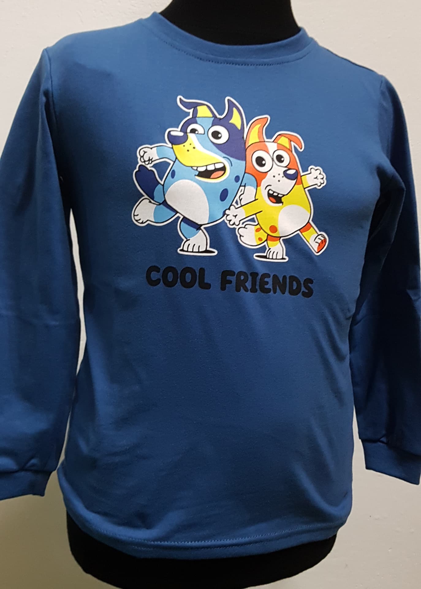 

BLUZKA CHŁOPIĘCA COOL FRIENDS DR R.98-116 (kolor mix kolor, rozmiar 110)