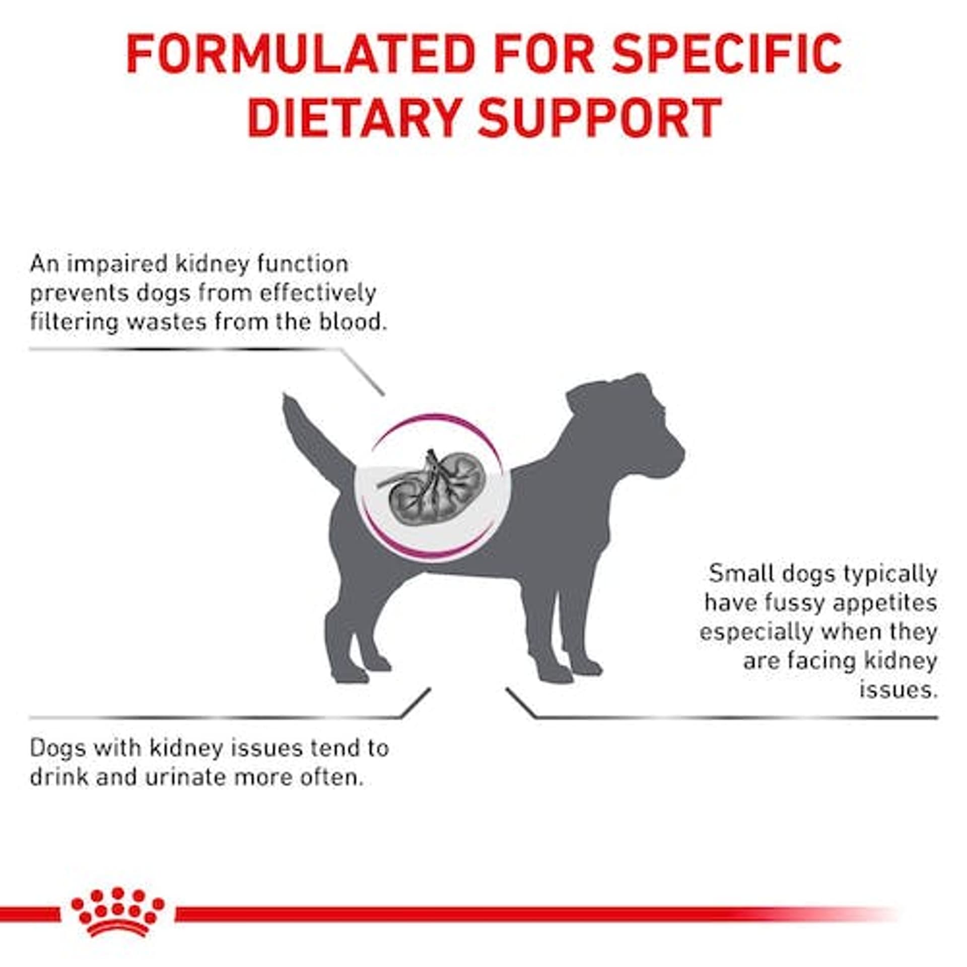

Royal Canin Veterinary Diet Canine Renal Small Dog 500g