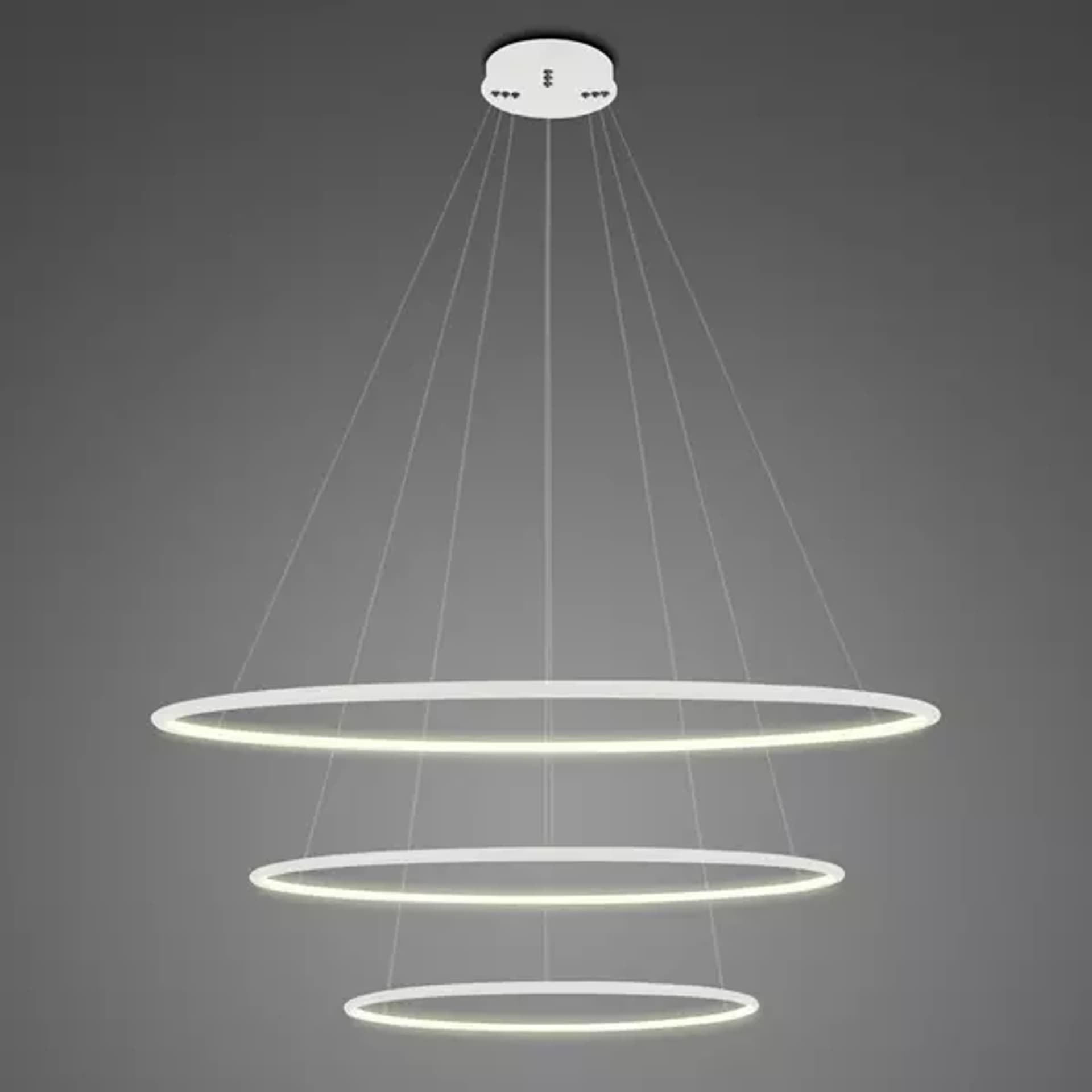 

Lampa wisząca Ledowe Okręgi No.3 Φ80 cm in 3k biała Altavola Design (Barwa światła delikatnie ciepła, Kierunek padania światła do wewnątrz, Kolor Biały, Możliwość ściemniania nie)