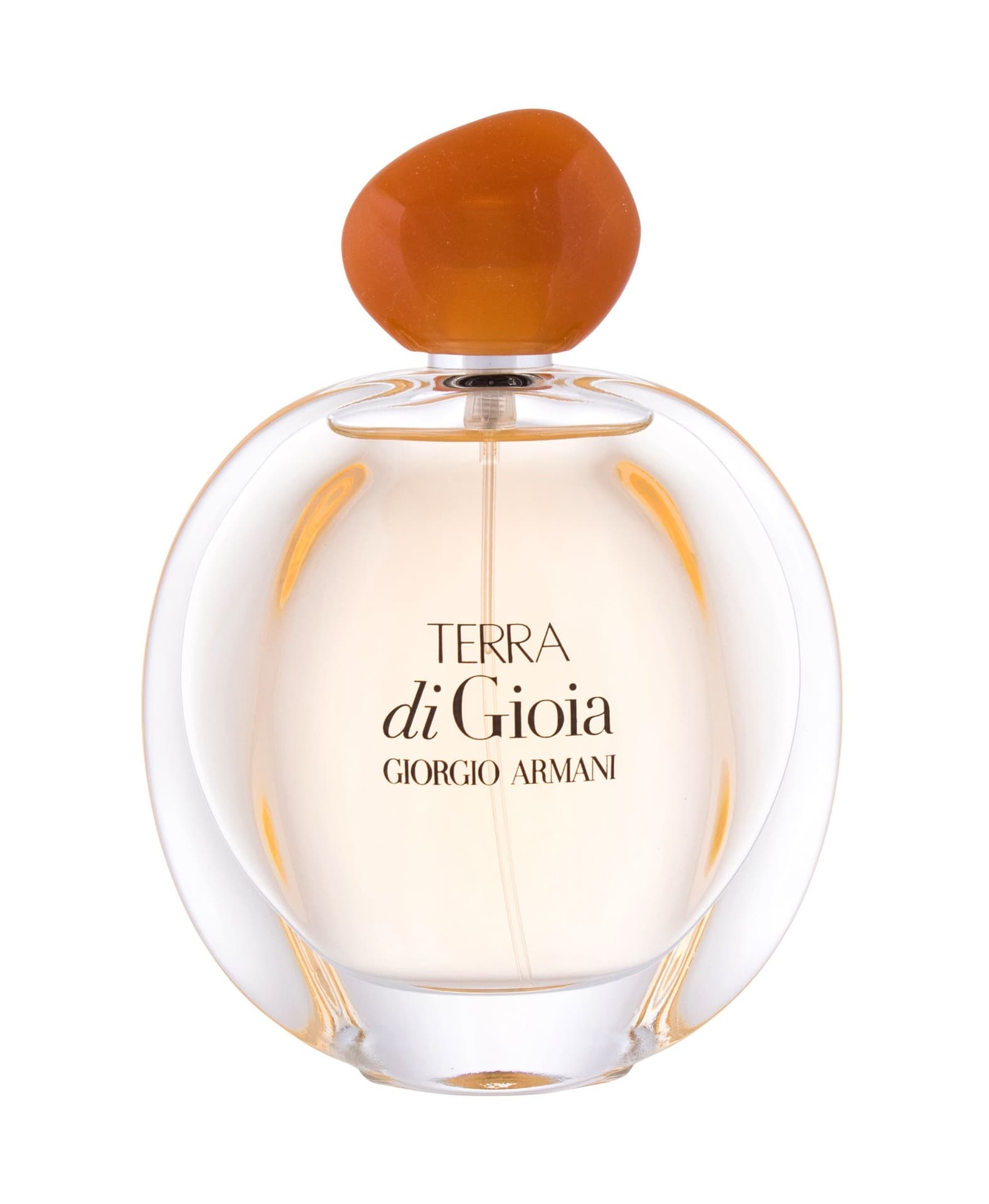 

Giorgio Armani Terra di Gioia EDP 100ml (W)