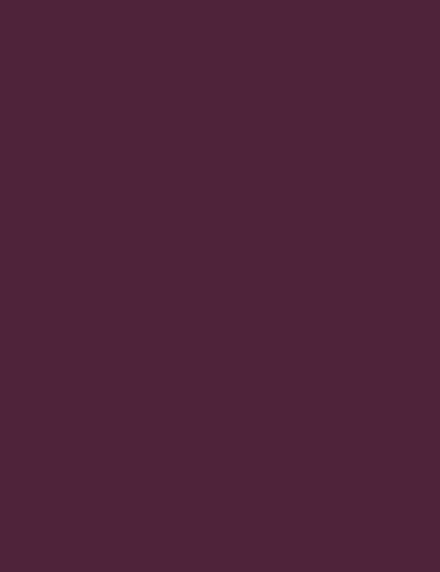 

Bourjois 15 Plum Plum Pidou Rouge Fabuleux Pomadka 2,3g (W)