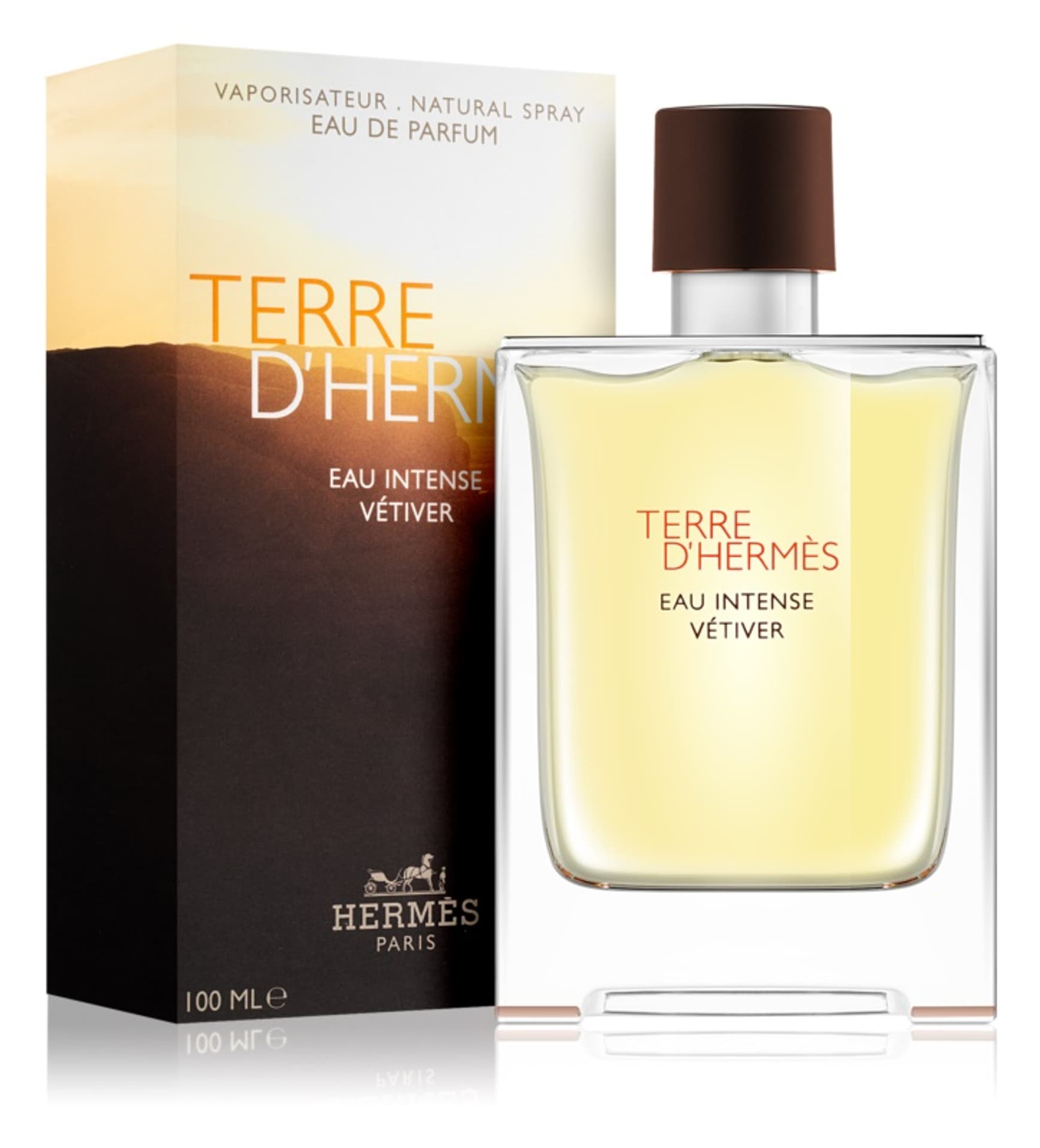 

Hermes Eau Intense Vétiver Terre d´Hermes EDP 100ml (M)