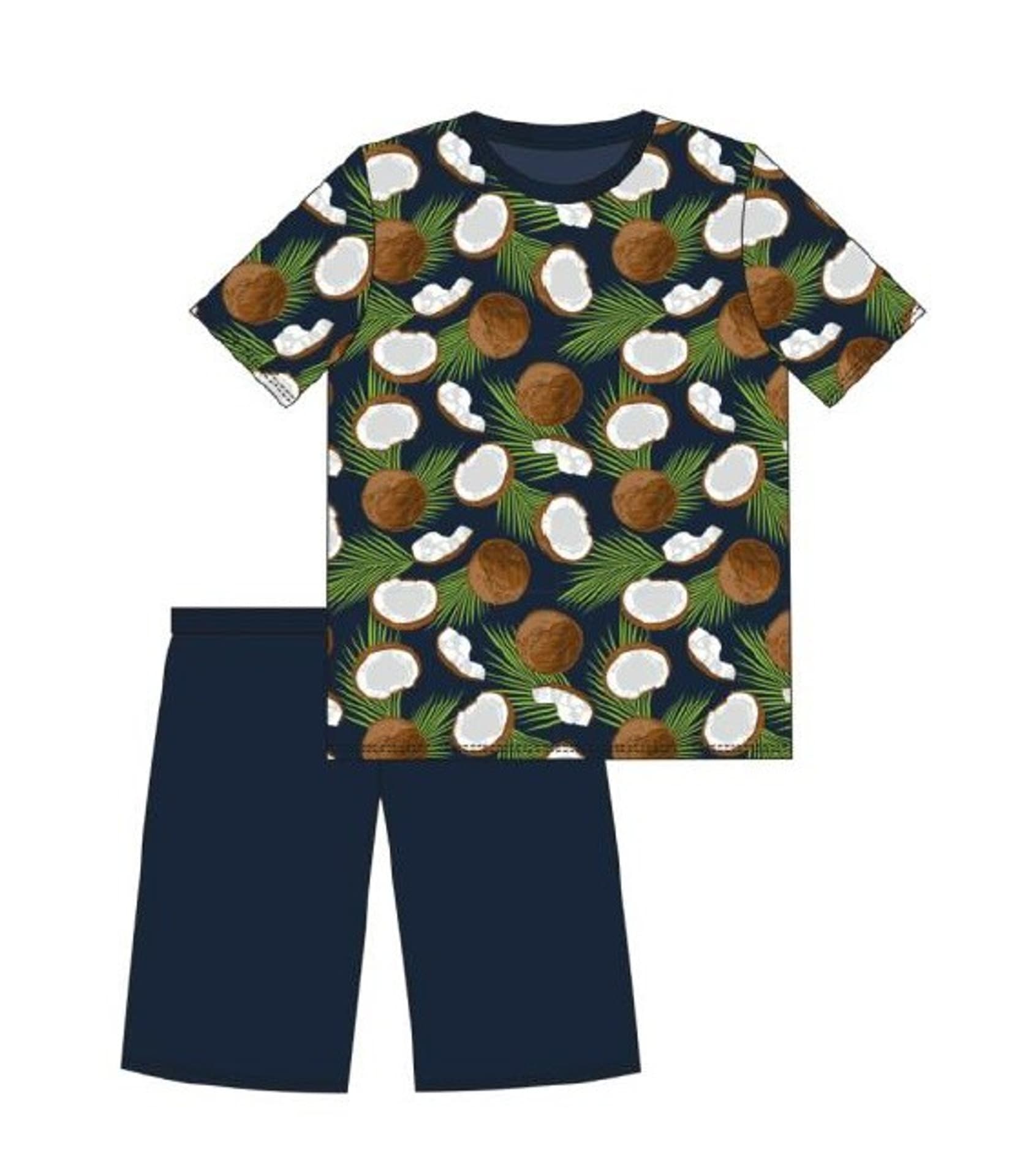 

PIŻAMA MĘSKA 323/144 COCONUT KR (kolor granatowy, rozmiar XXL)