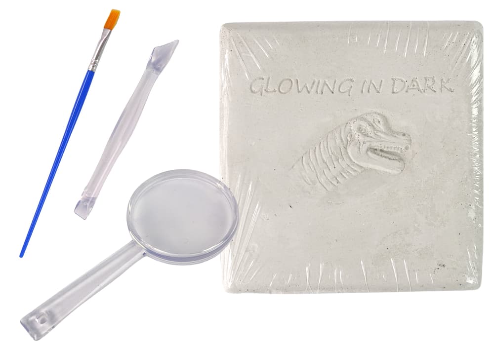 

Zestaw Archeologiczny Wykopaliska Dinozaur Szkielet 3D Tyranozaur Rex Hologram