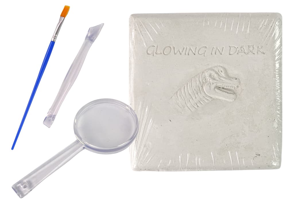 

Zestaw Archeologiczny Wykopaliska Dinozaur Szkielet Stegosaurus 3D Hologram