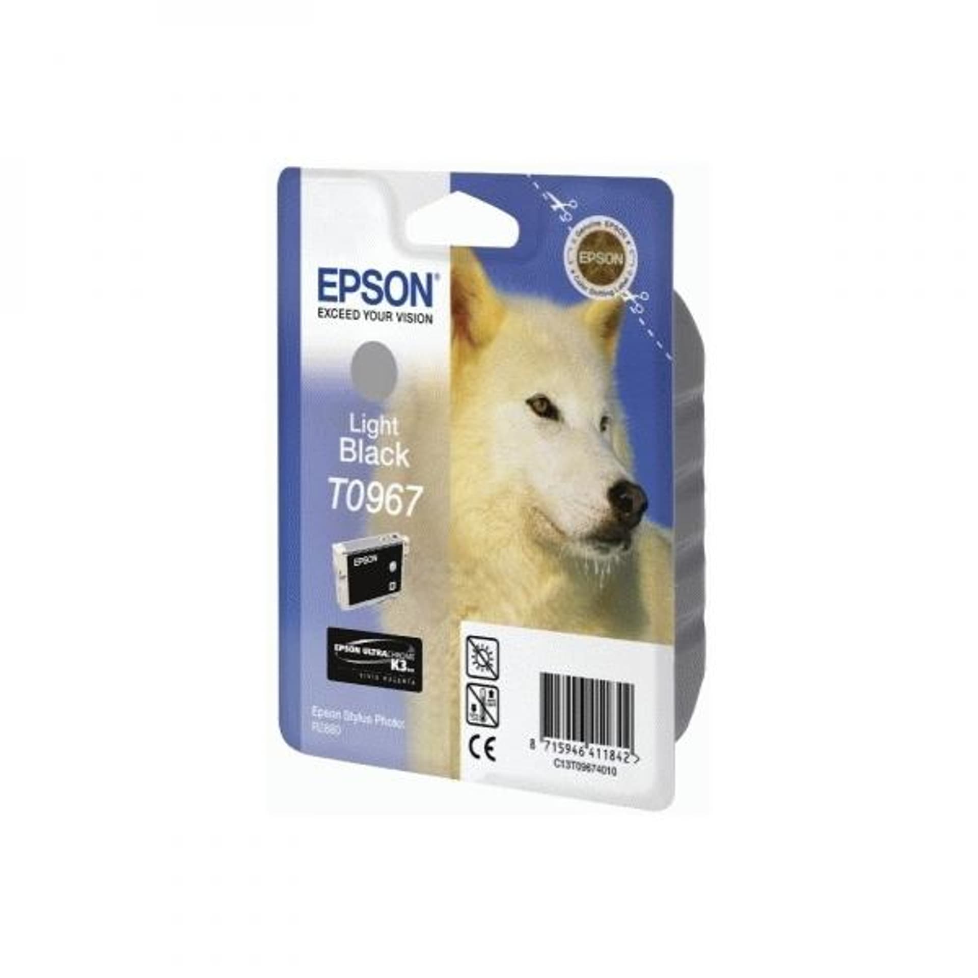 

Epson oryginalny ink / tusz C13T09674010, light black, 13ml, Epson Stylus Photo R2880