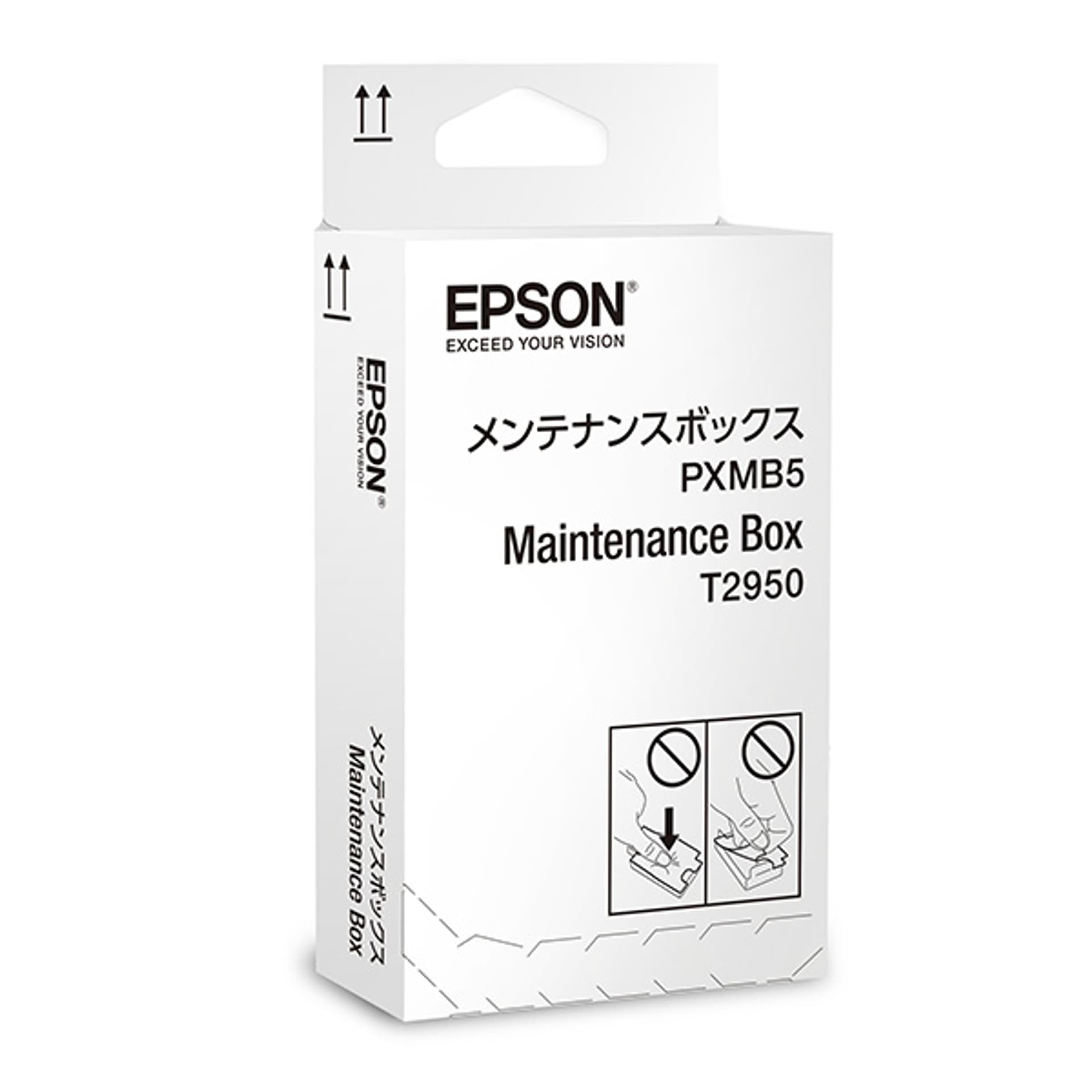 

EPSON C13T295000