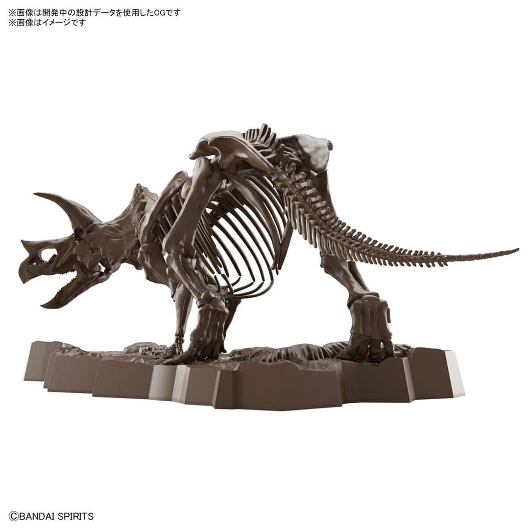 

IMAGINARY SKELETON 1/32 TRICERATOPS
