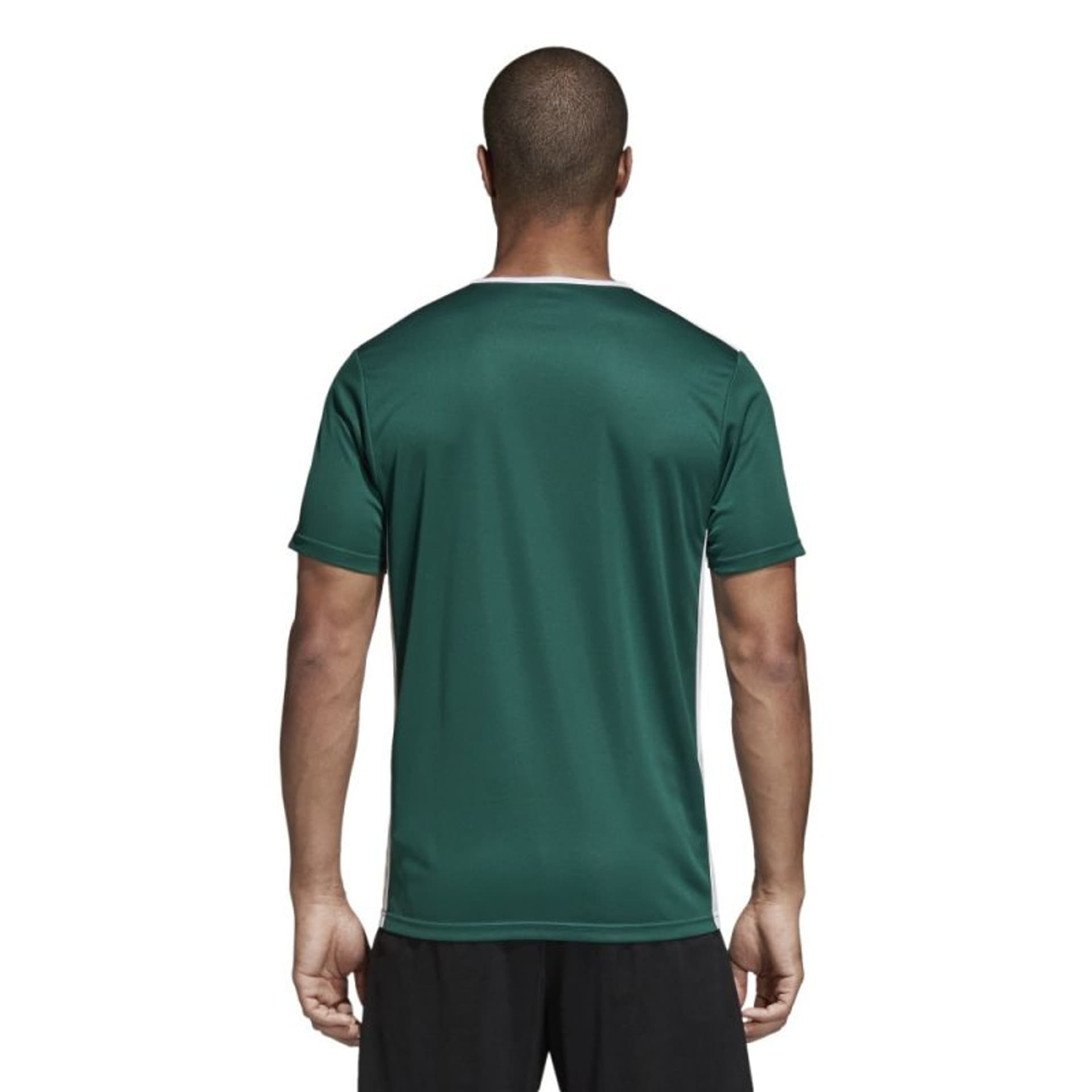 

Koszulka piłkarska adidas Entrada 18 (kolor Zielony, rozmiar S)