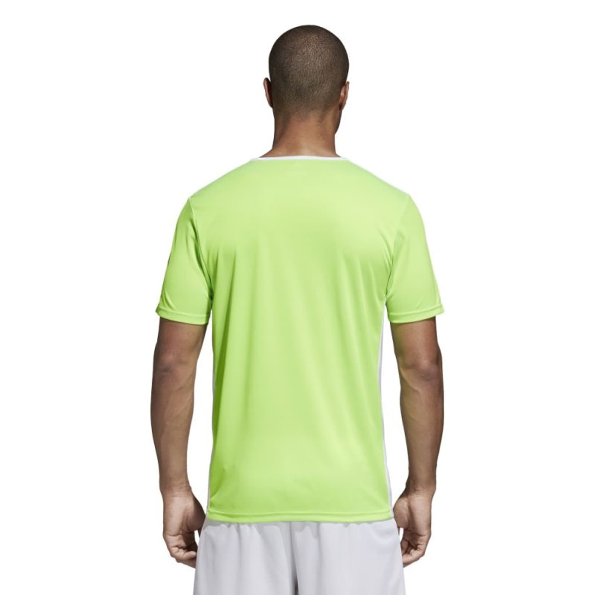 

Koszulka piłkarska adidas Entrada 18 (kolor Zielony, rozmiar S)