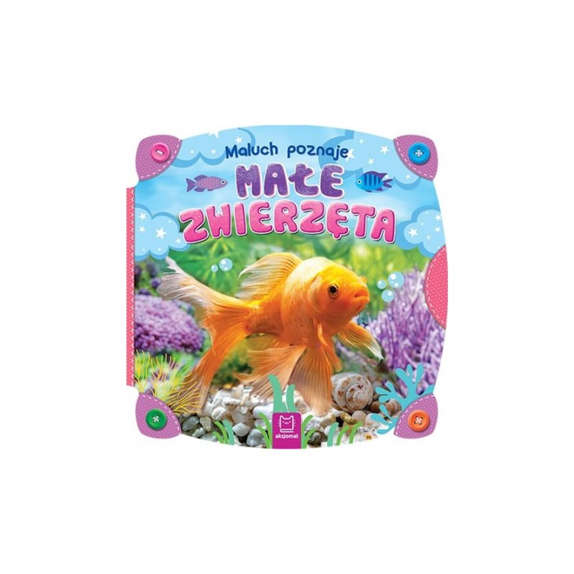 

Maluch poznaje małe zwierzęta