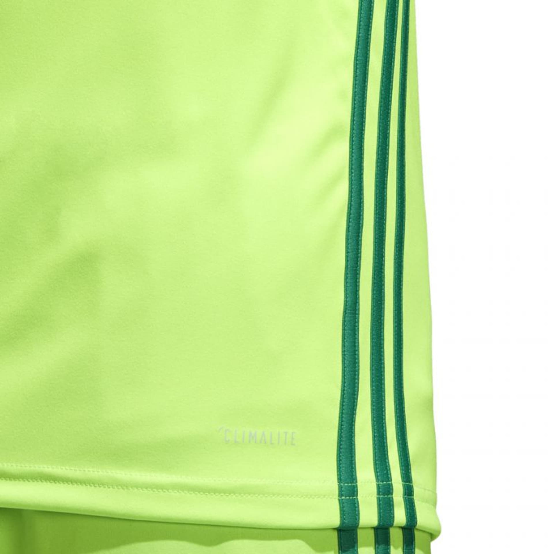 

Koszulka piłkarska adidas Regista 18 Jersey M (kolor Zielony, rozmiar 128)