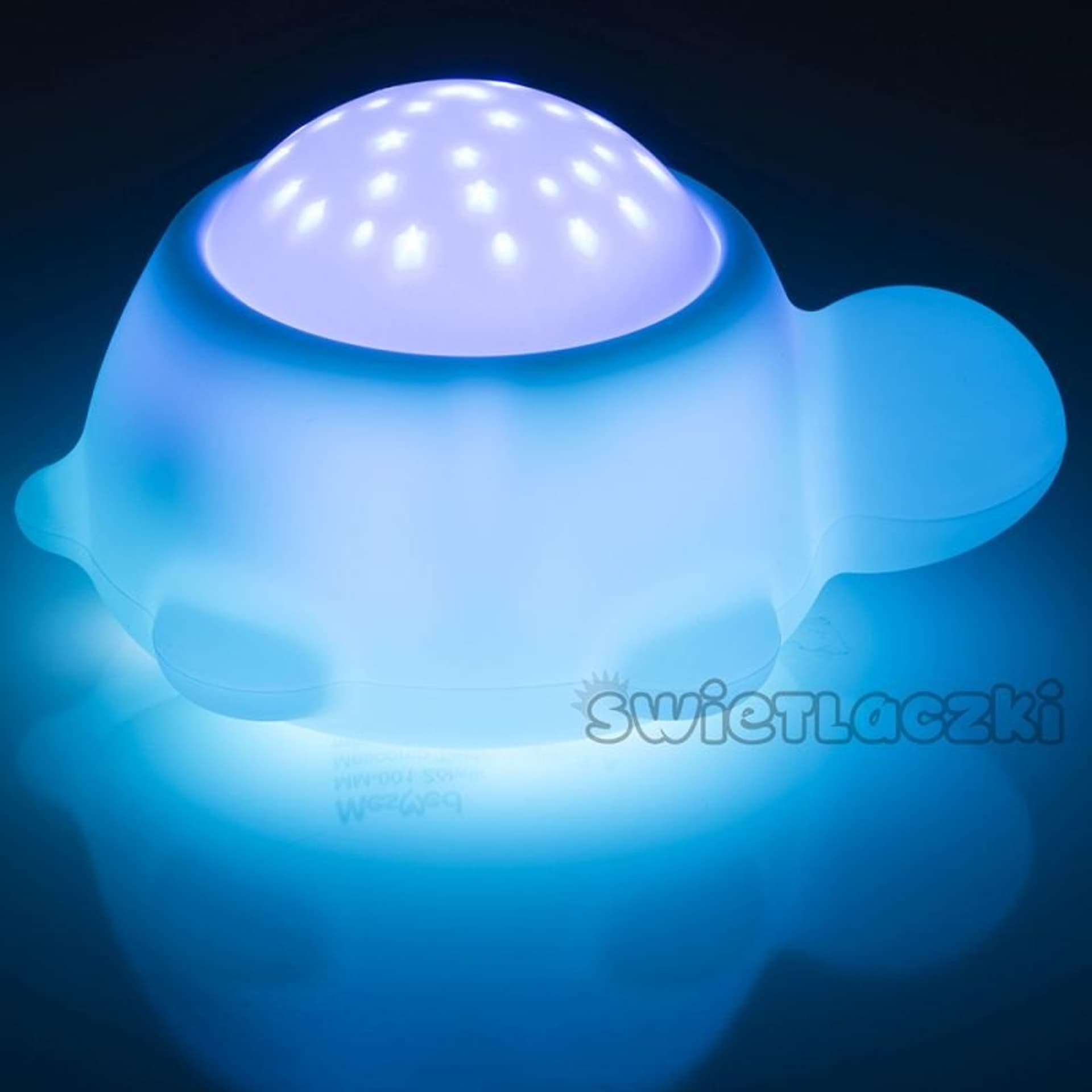 

Świetlaczek żółwik mm001