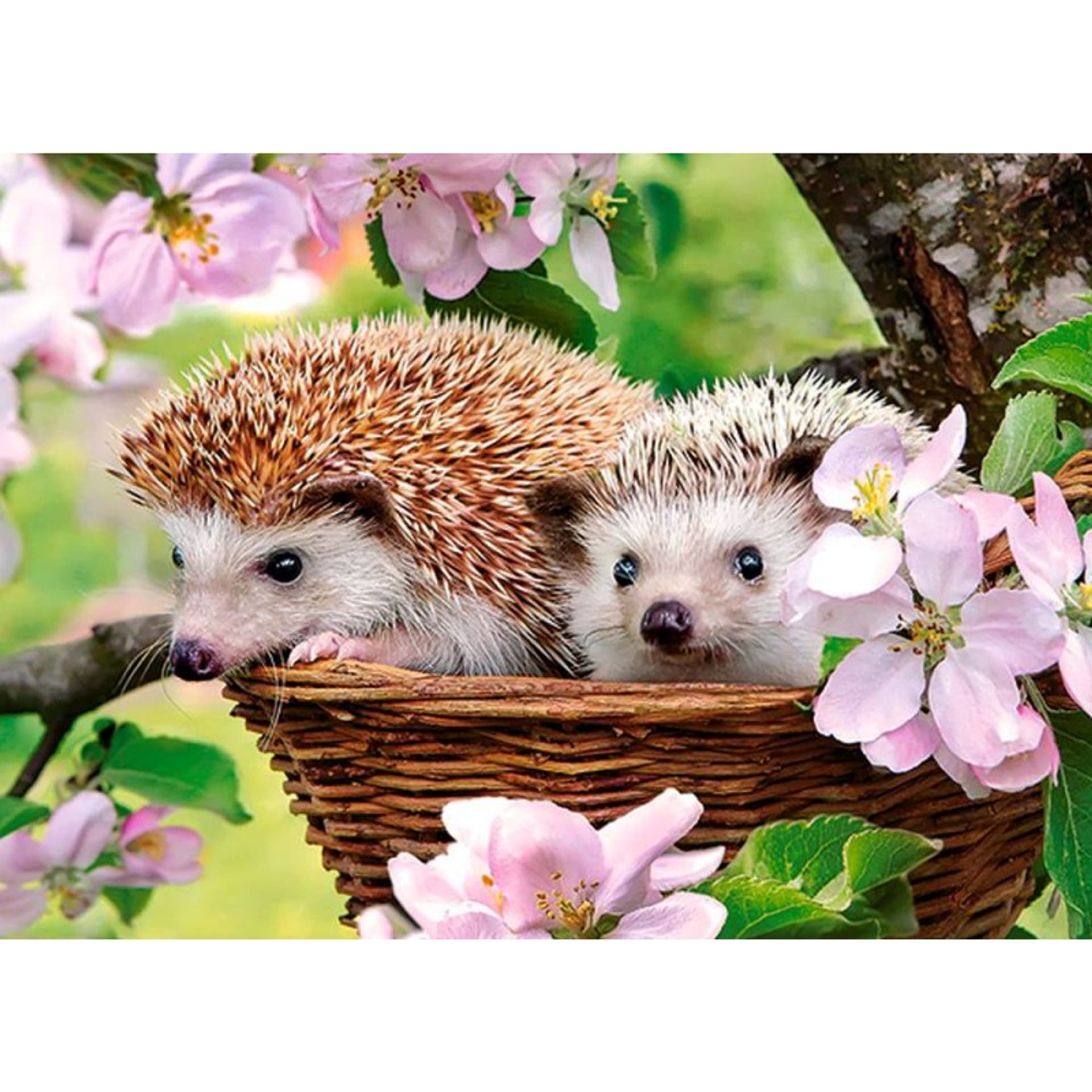 

Puzzle 120el. springtime