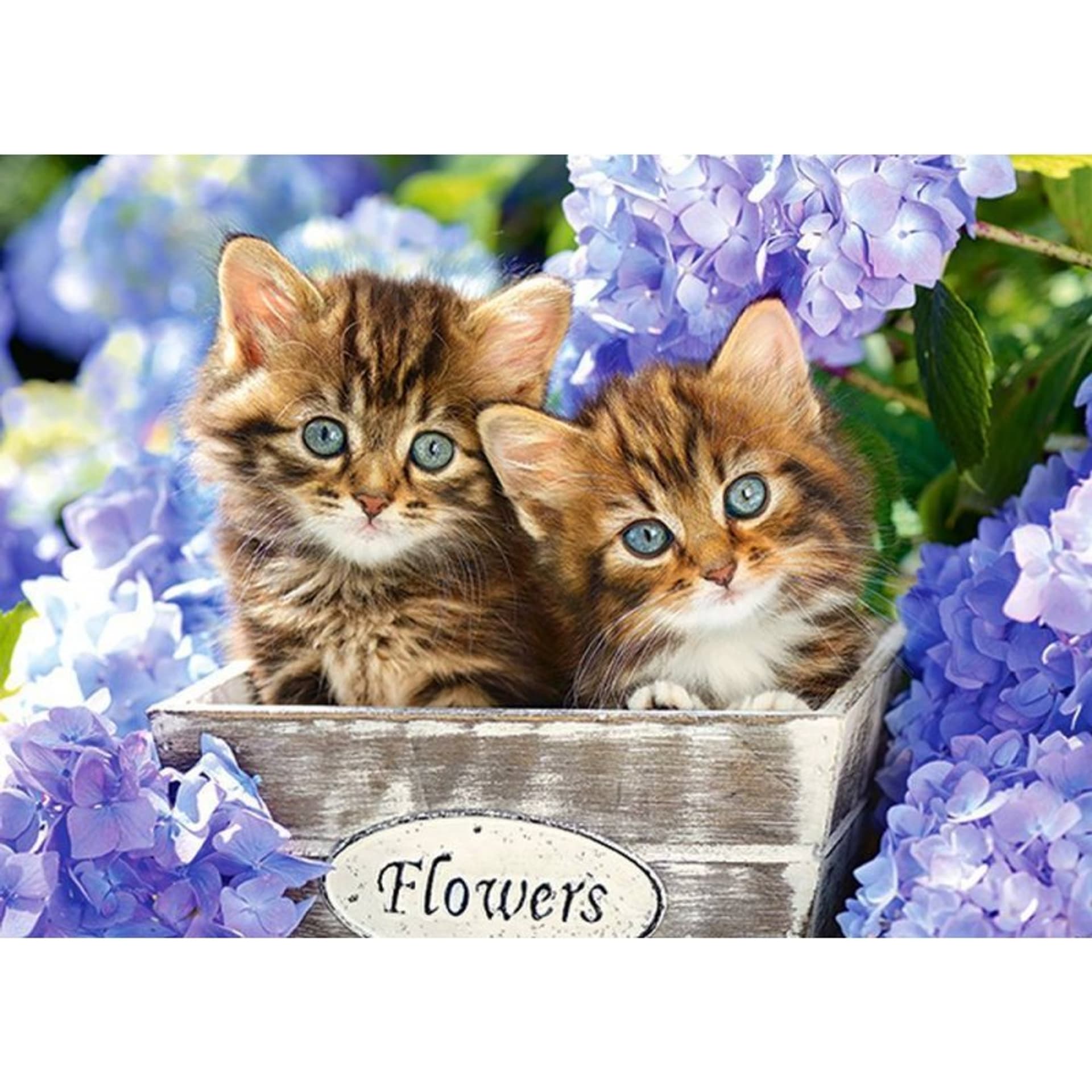 

Puzzle 60el. cute kittens