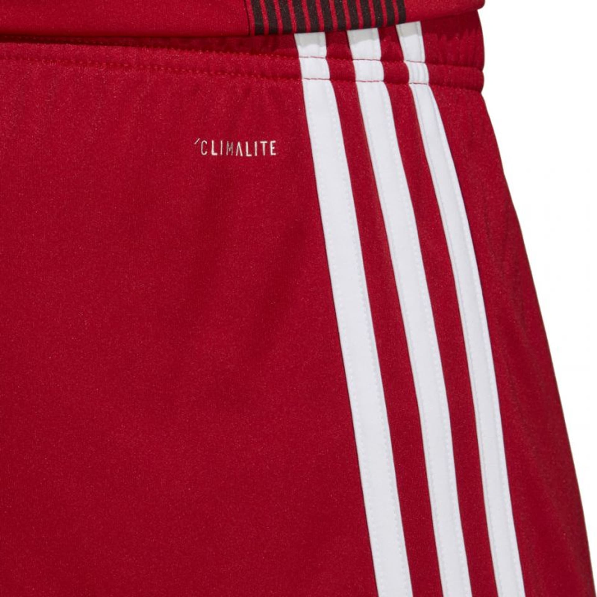 

Spodenki adidas Tastigo 19 Shorts M (kolor Czerwony, rozmiar M)