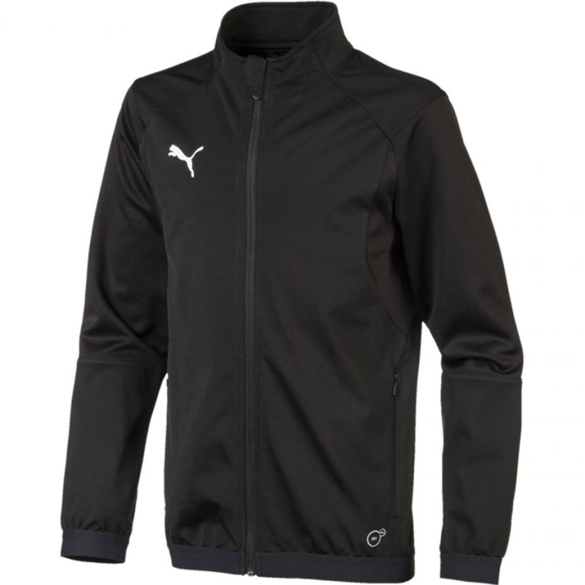 

Bluza Puma Liga Training Jacket Junior 655688 (kolor Czarny, rozmiar 140cm)