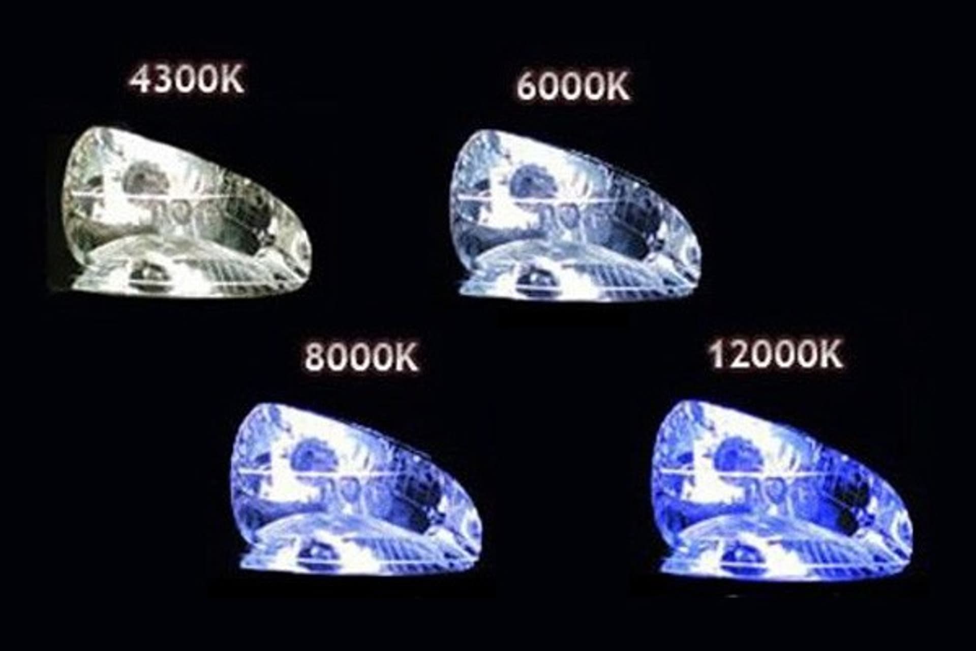 

01416 HID Żarnik H1 4300K xenonowy