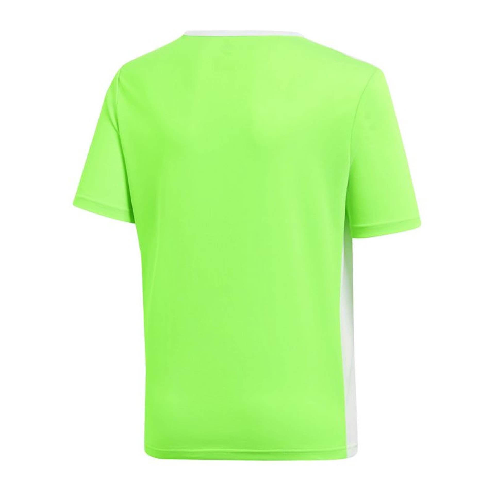 

Koszulka adidas Entrada 18 Jr CE9755 (kolor Zielony