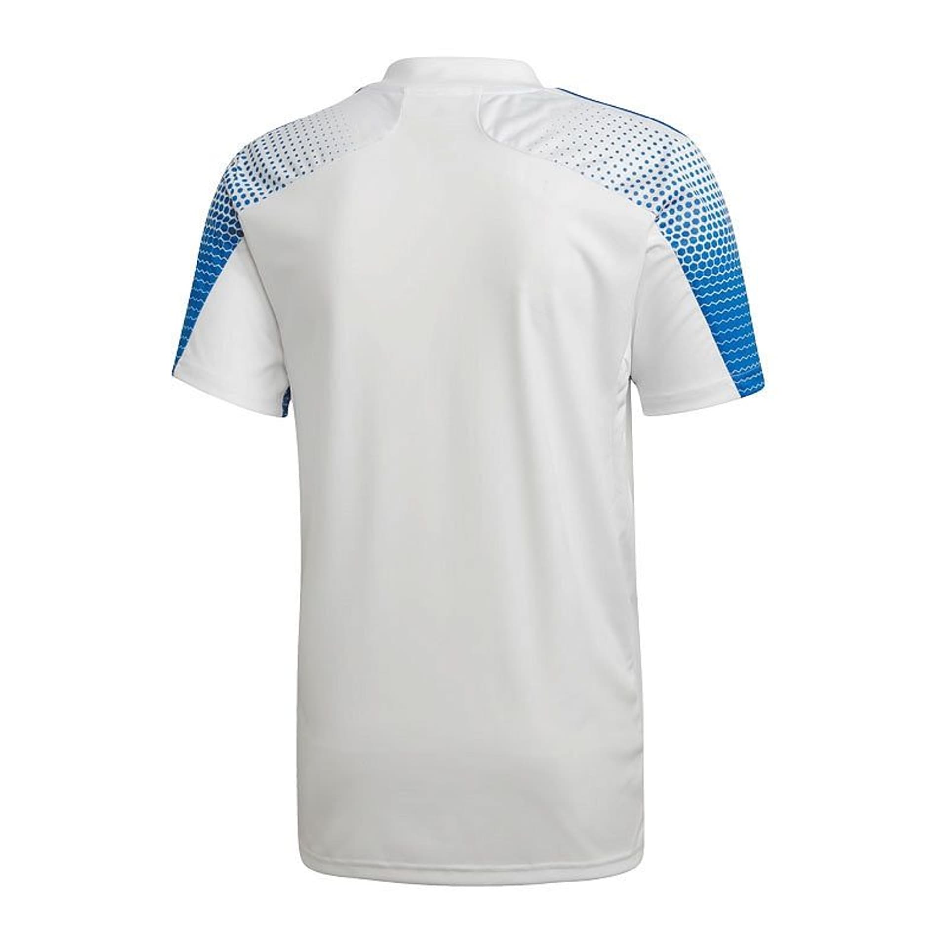 

Koszulka adidas Regista 20 M FI4558 (kolor Biały. Niebieski, rozmiar S)