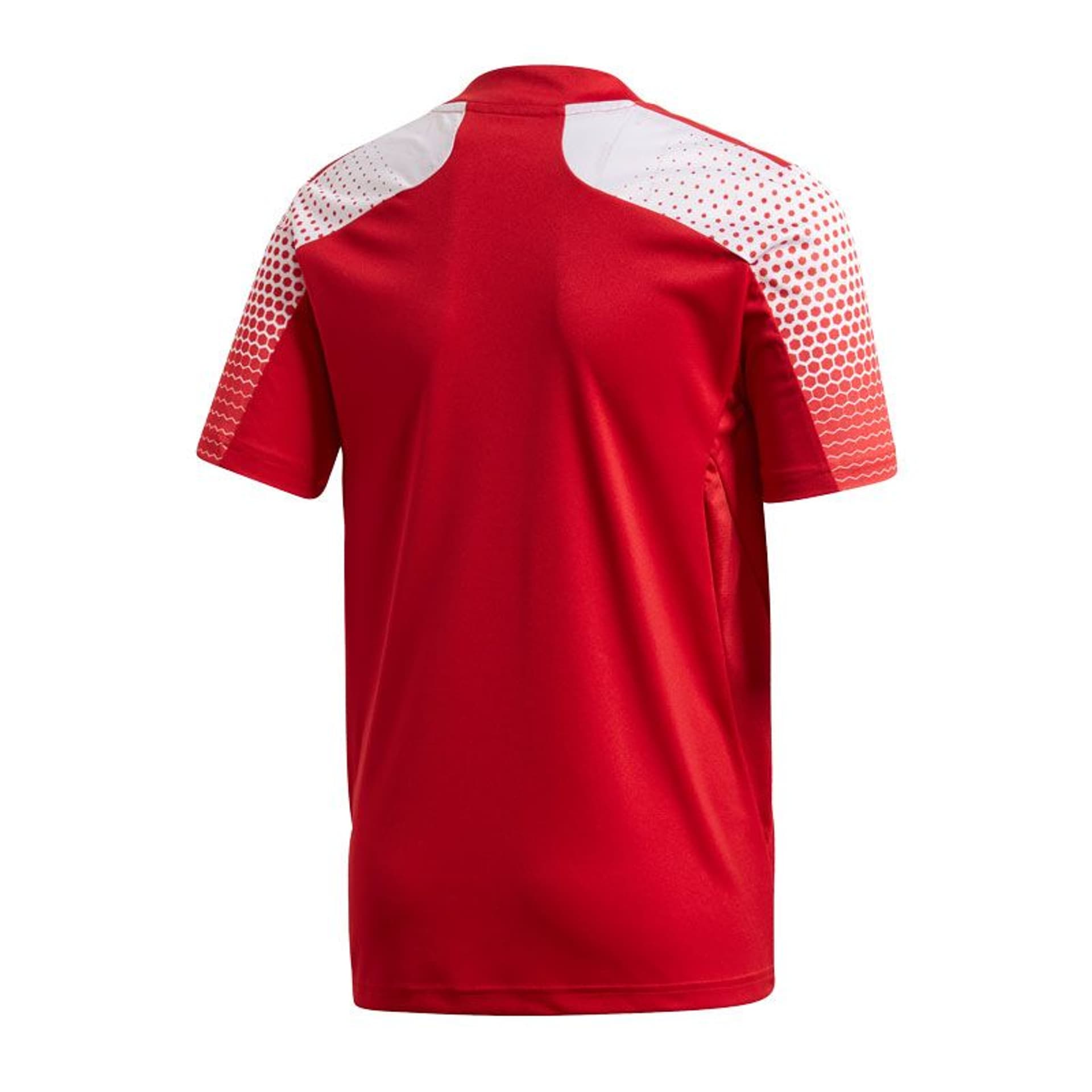 

Koszulka adidas Regista 20 Jr FI4565 (kolor Czerwony