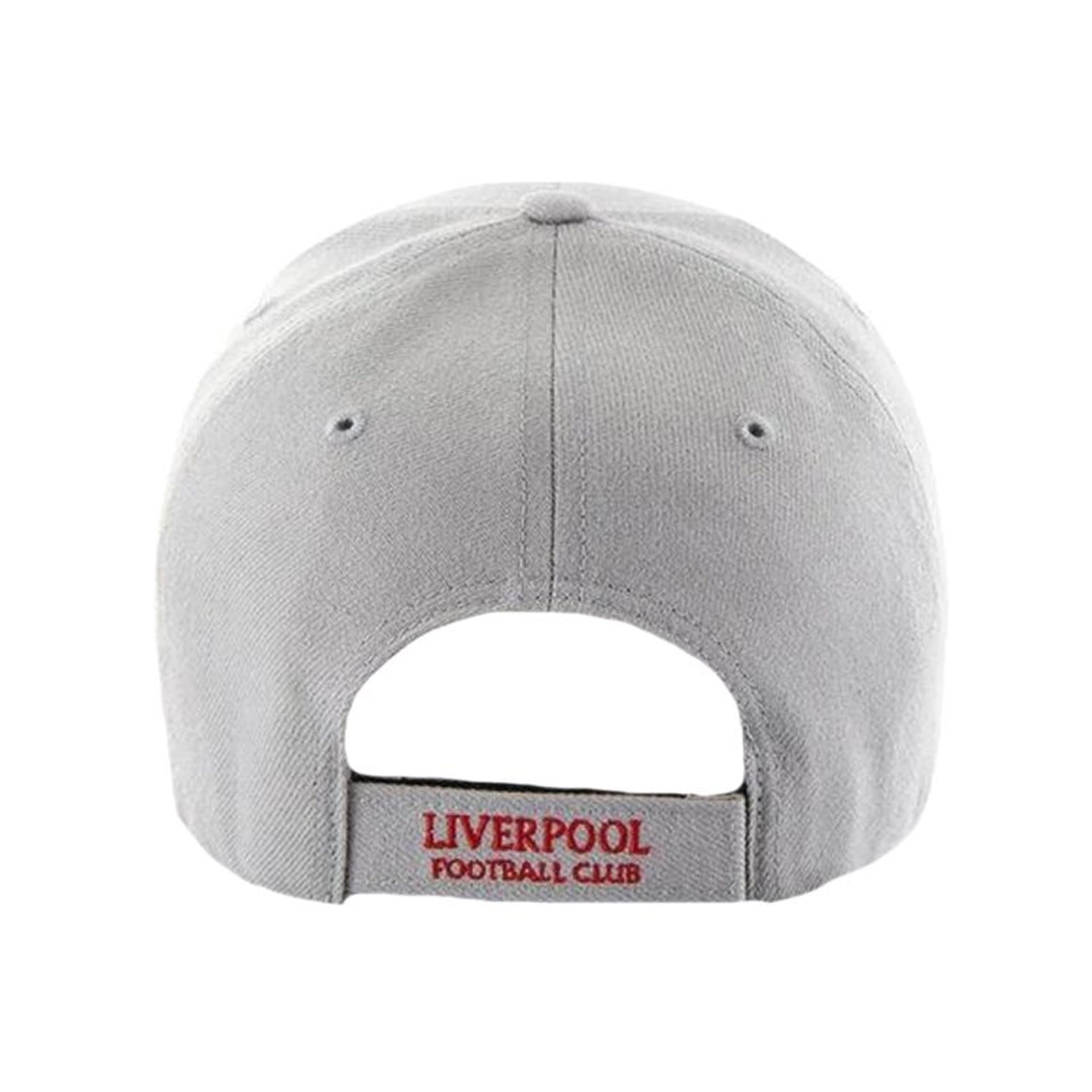 

Czapka z daszkiem 47 Brand EPL FC Liverpool Cap EPL-MVP04WBV-GY (kolor Szary/Srebrny, rozmiar, Kolor szary/srebrny/rozmiar one size