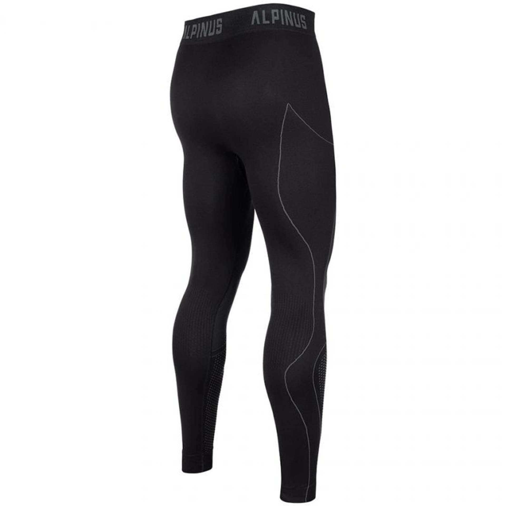 

Spodnie termoaktywne Alpinus Active Base Layer M GT43194 (kolor Czarny. Szary/Srebrny, rozmiar M)