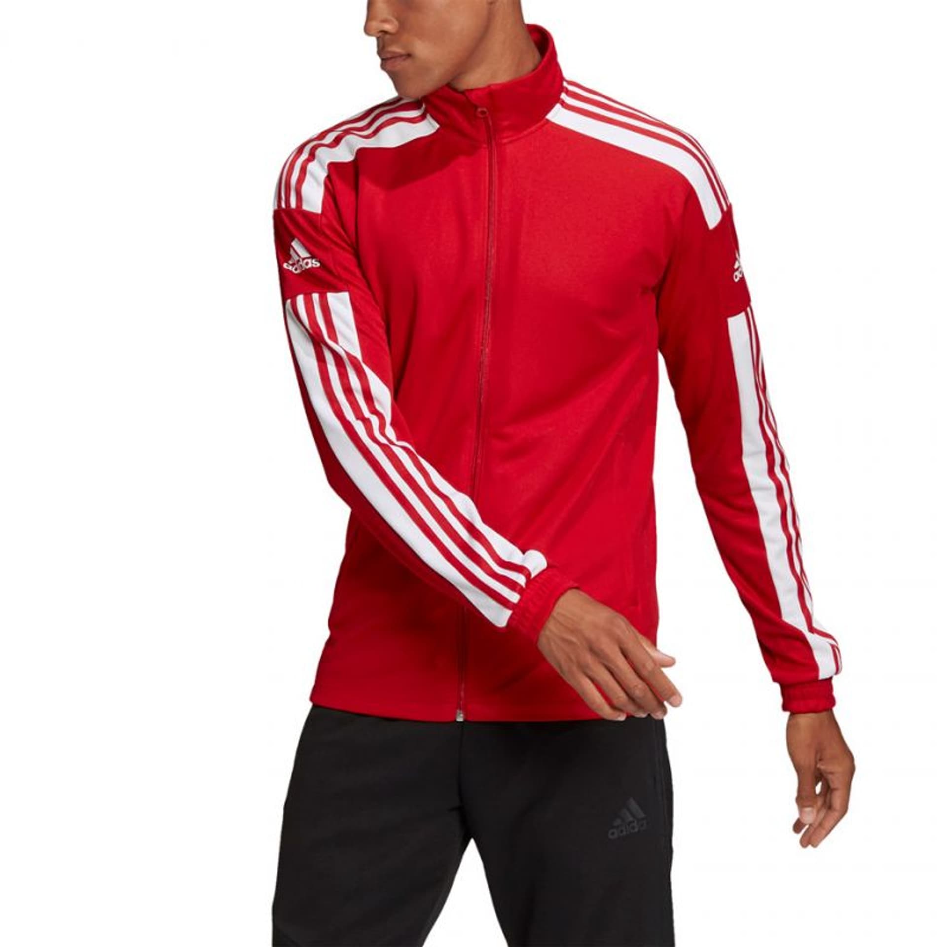 

Bluza adidas Squadra 21 Training M GP6464 (kolor Czerwony, rozmiar L)