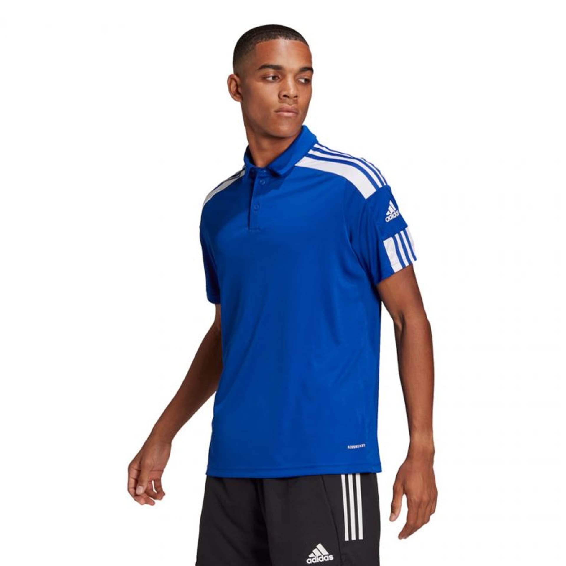 

Koszulka piłkarska adidas Squadra 21 Polo M GP6427 (kolor Niebieski, rozmiar M)