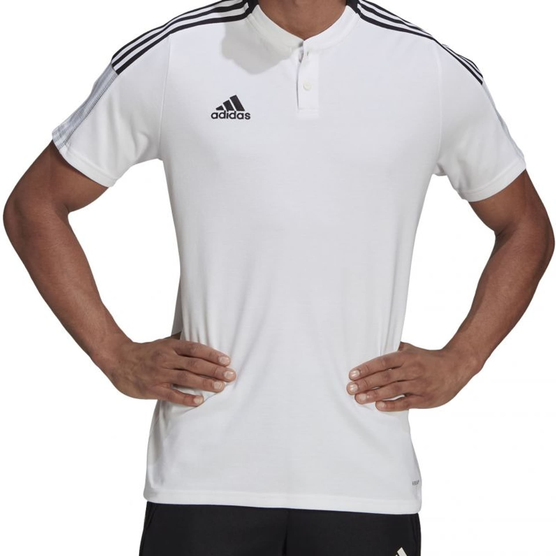 

Koszulka adidas Tiro 21 Polo M GM7363 (kolor Biały, rozmiar S)