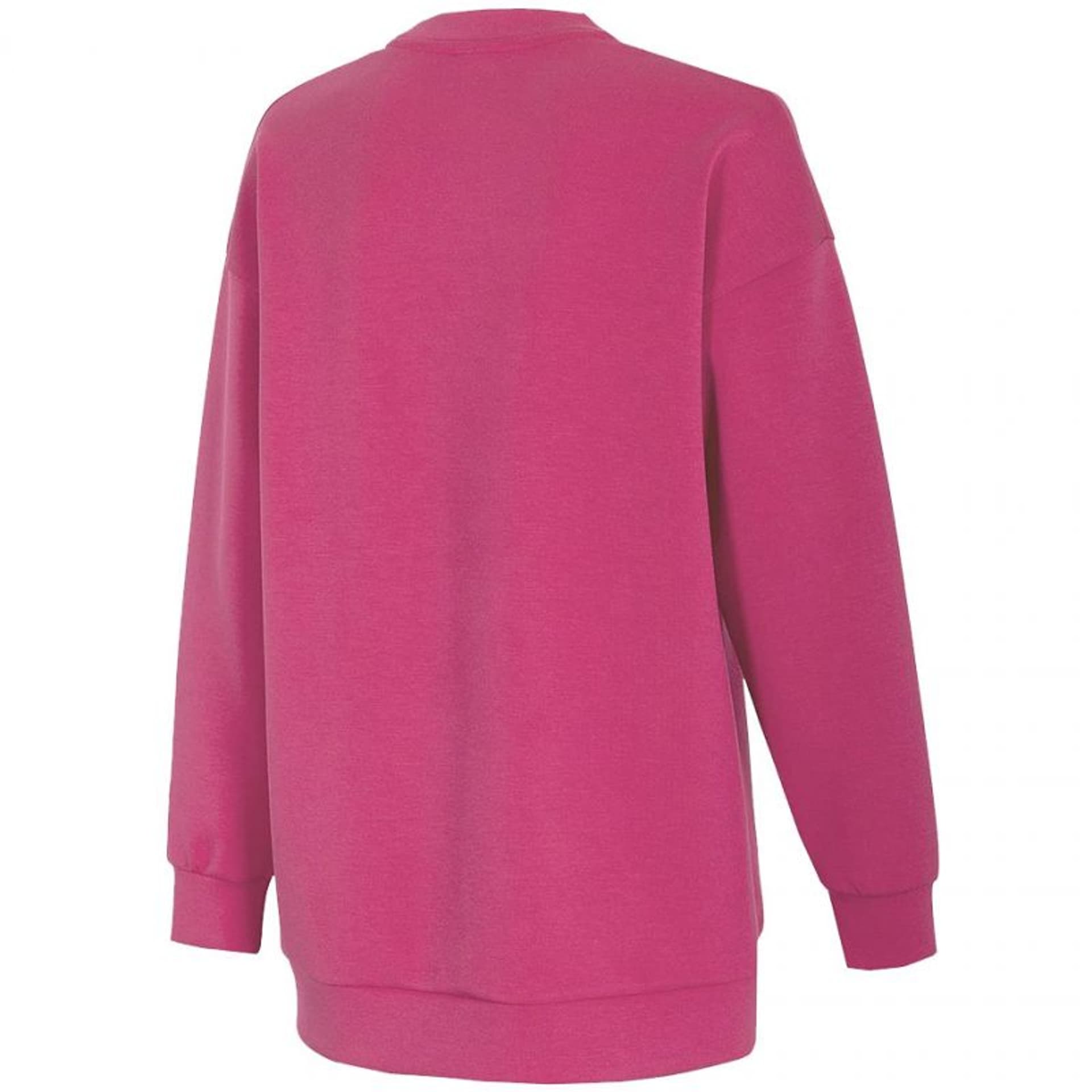 

Bluza 4F W H4L21 BLD010 55S (kolor Różowy, rozmiar L)