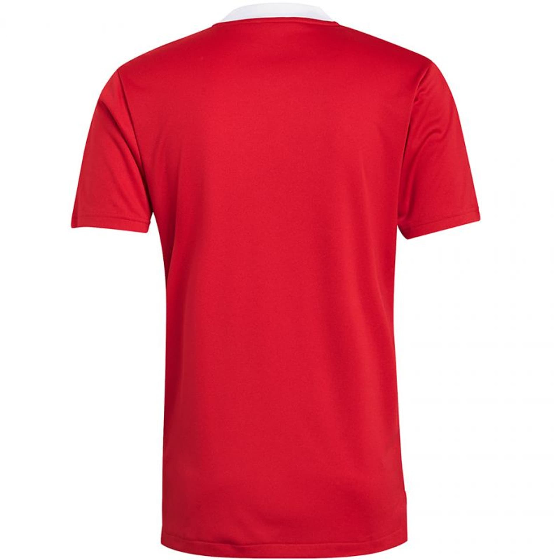 

Koszulka adidas Tiro 21 Training Jersey M GM7588 (kolor Czerwony, rozmiar L)