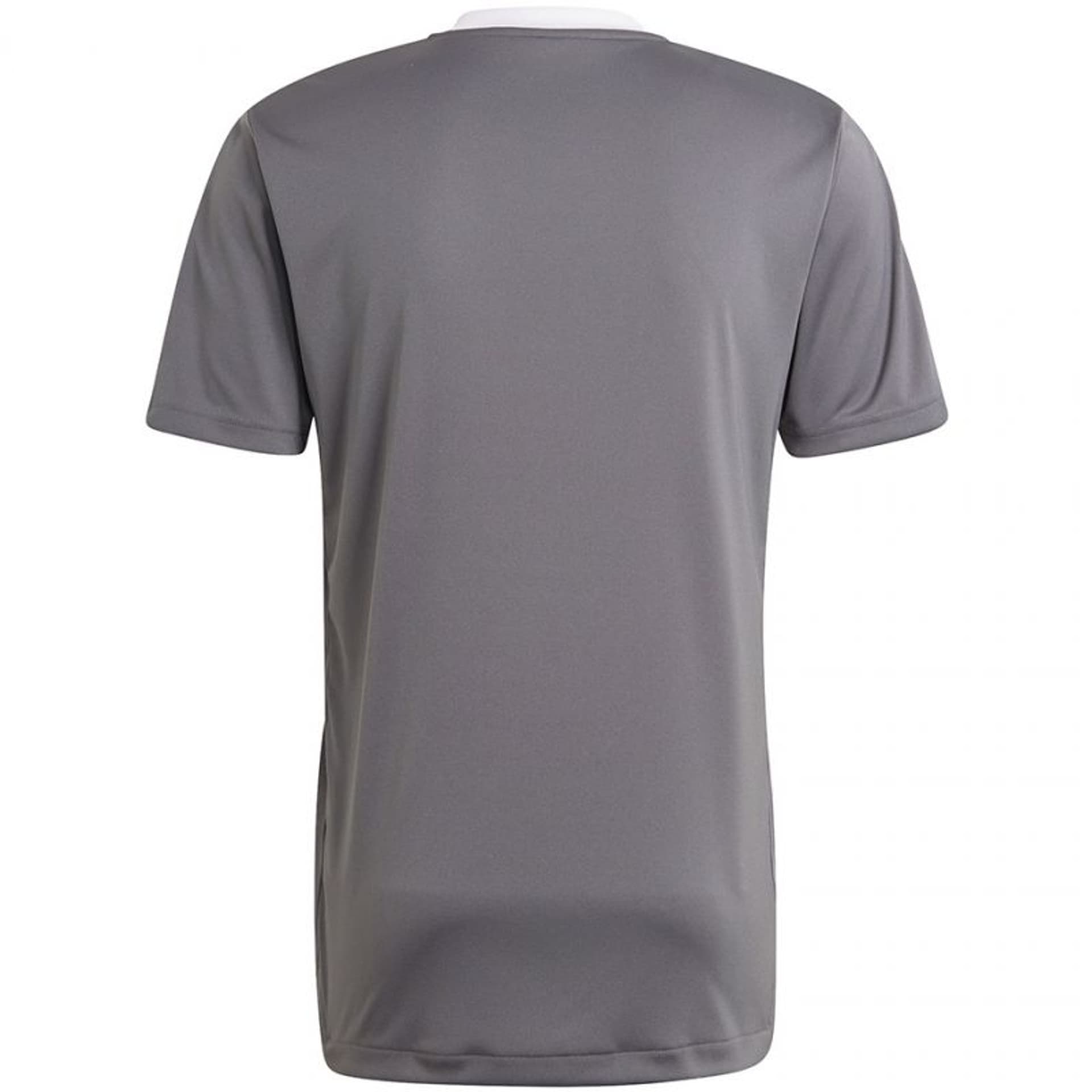 

Koszulka adidas Tiro 21 Training Jersey M (kolor Szary/Srebrny, rozmiar XL)