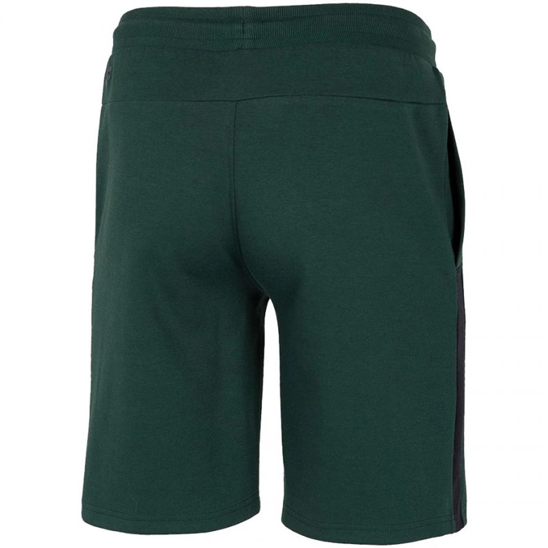 

Spodenki 4F M H4L21-SKMD010 (kolor Zielony, rozmiar 2XL)
