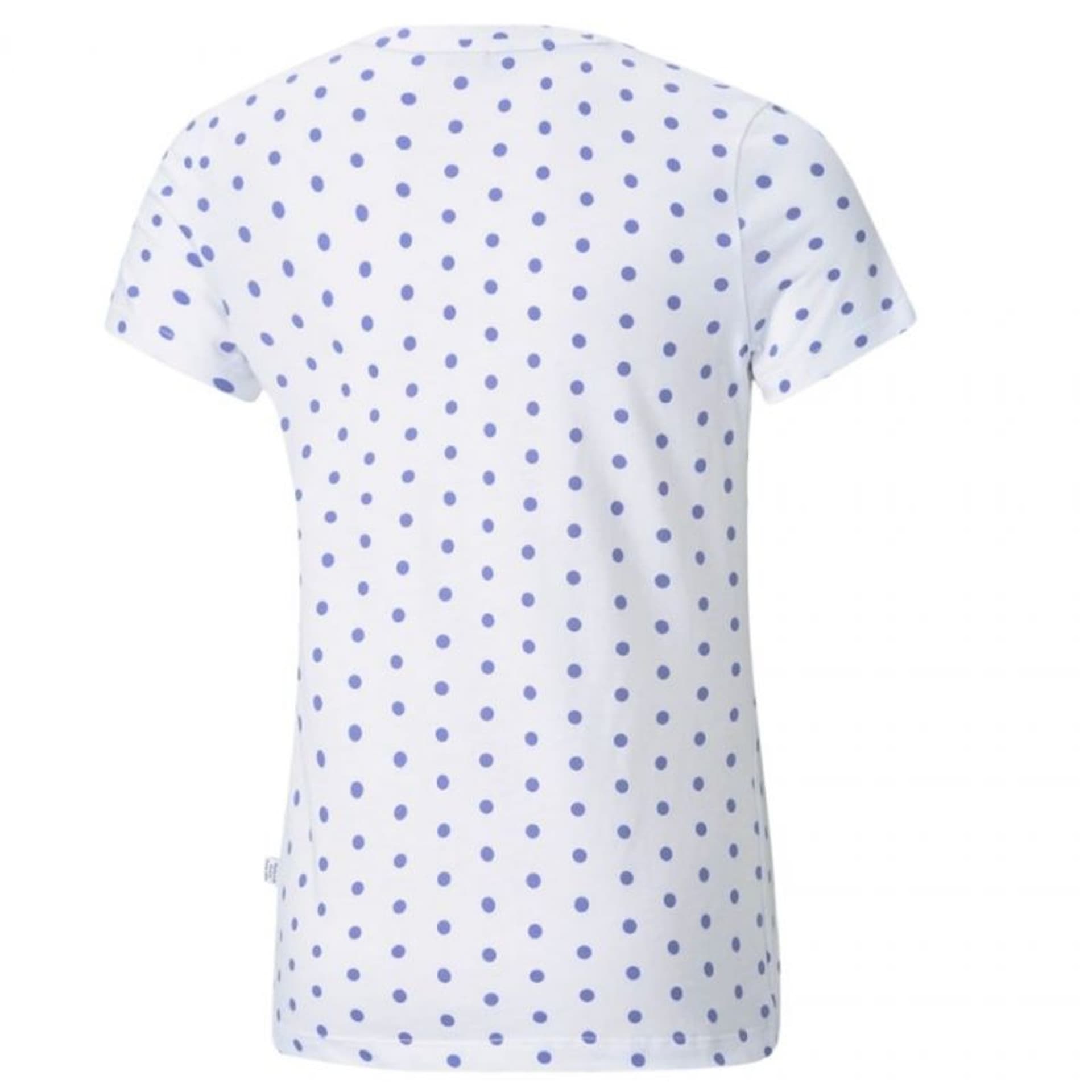 

Koszulka Puma ESS+ Dotted Tee Jr 587042 (kolor Biały, rozmiar 164cm)