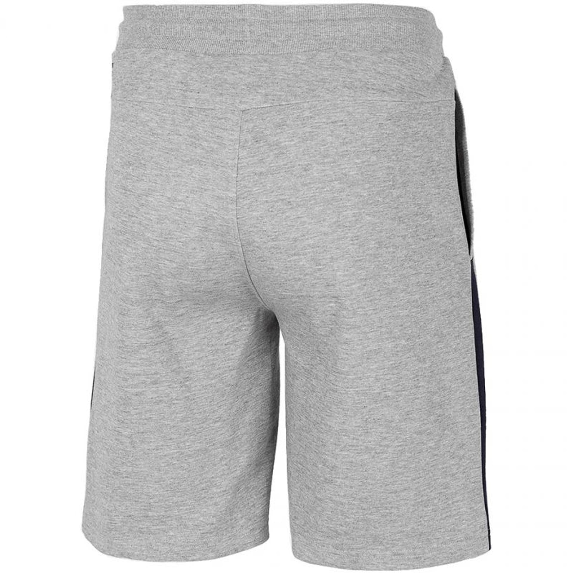 

Spodenki 4F M H4L21-SKMD010 (kolor Szary/Srebrny, rozmiar 2XL)