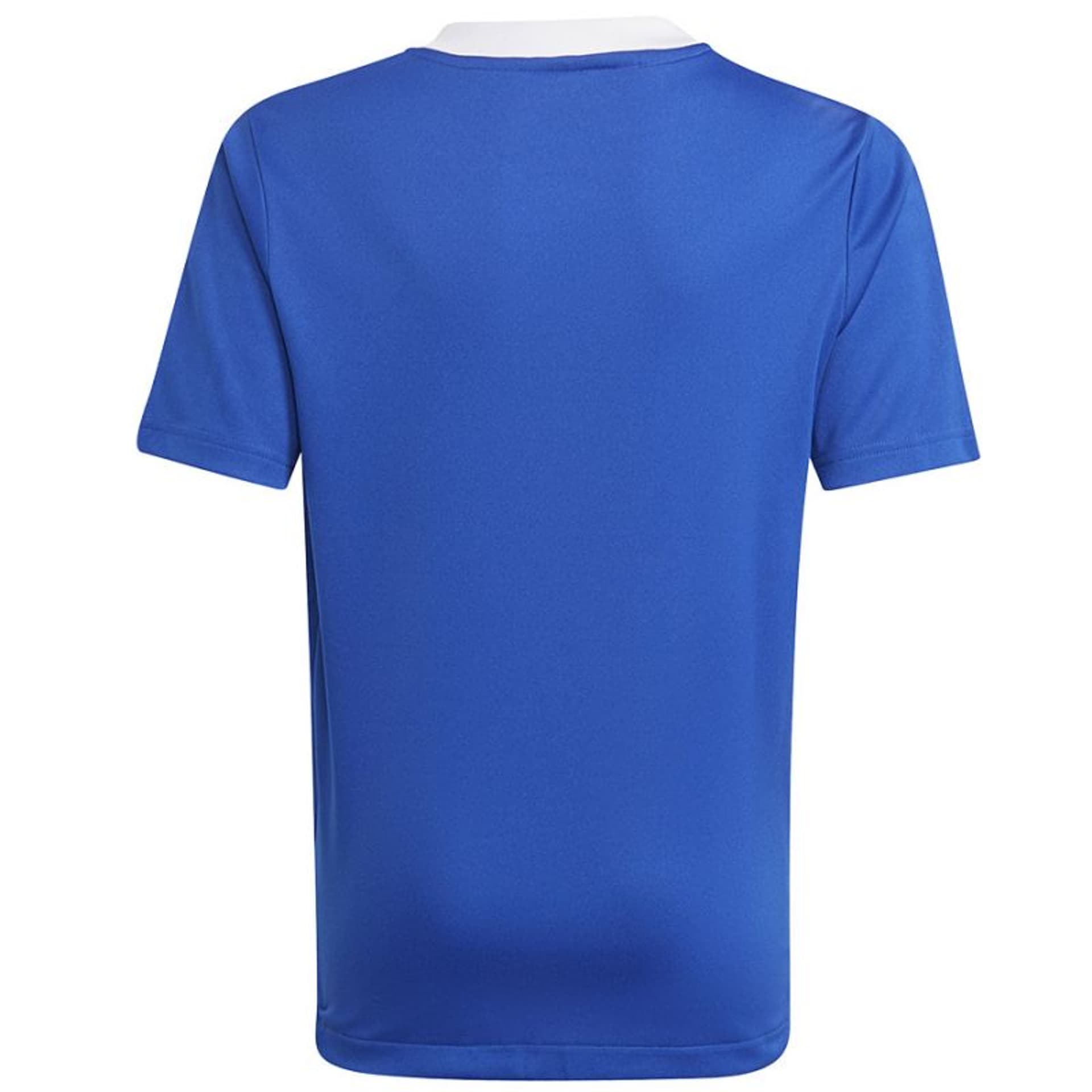 

Koszulka adidas Tiro 21 Tr Jsy Y Jr (kolor Niebieski