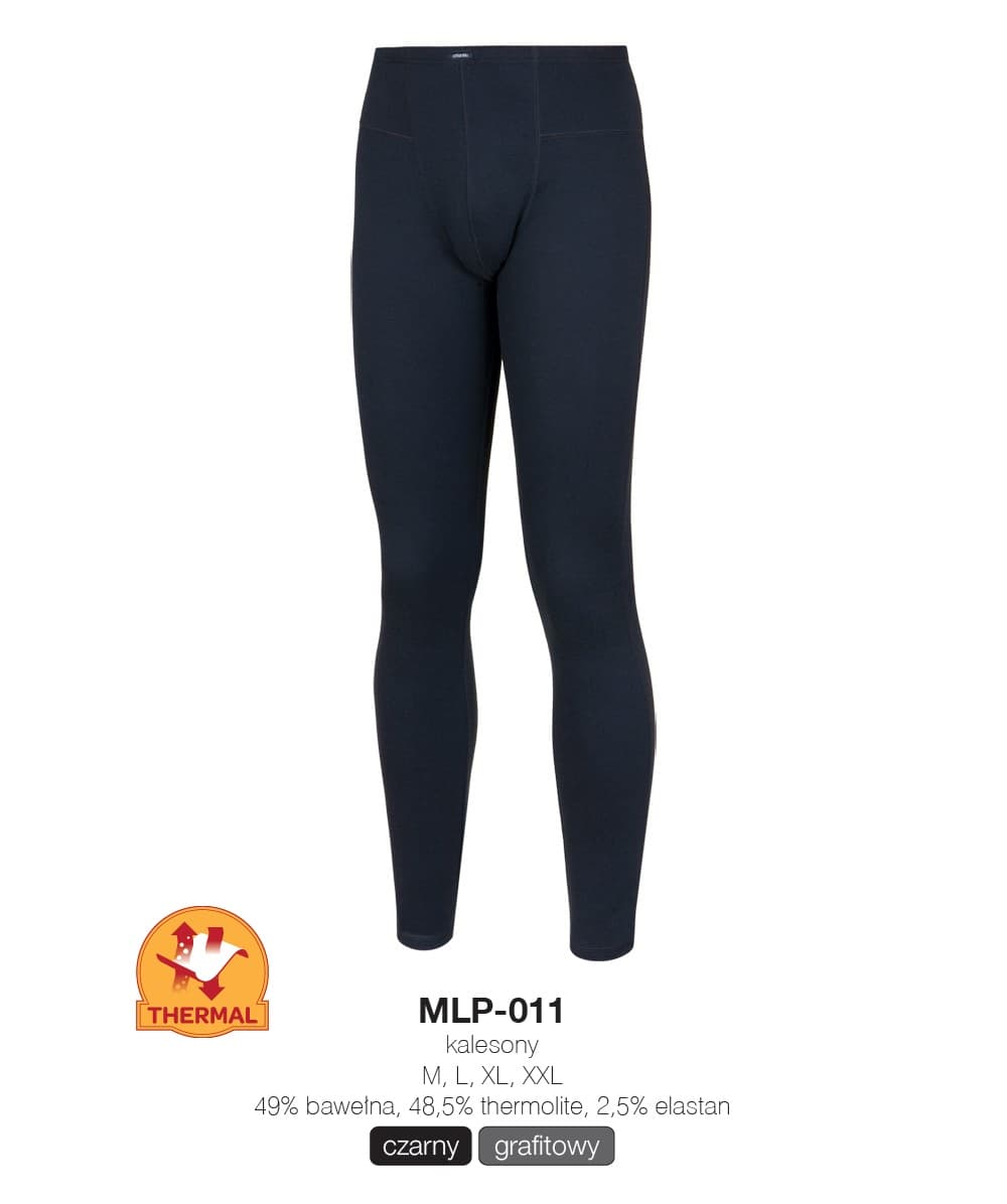

KALESONY ATLANTIC MLP-011 THERMAL (kolor grafit, rozmiar XXL)