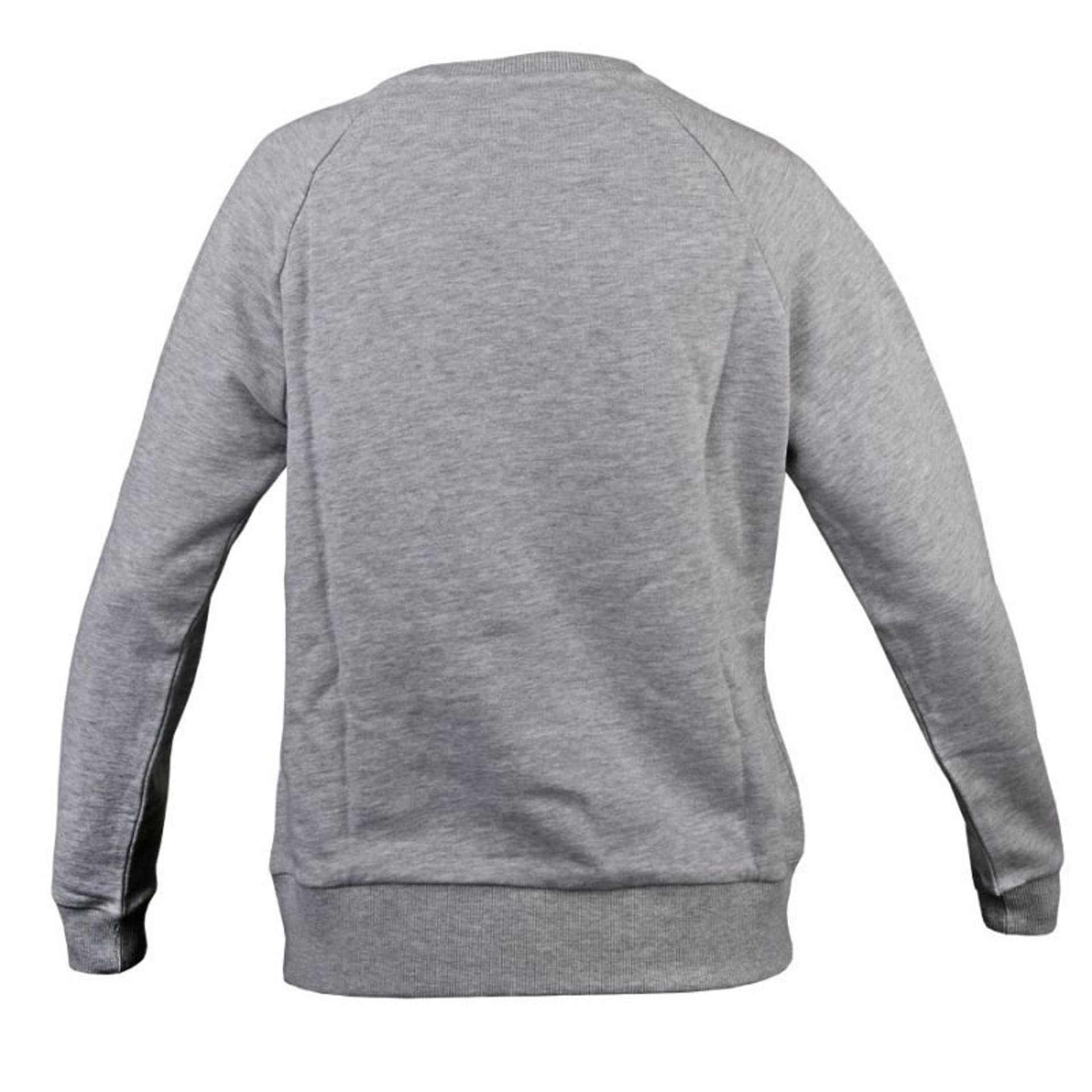 

Bluza 4F W NOSH4-BLD350 (kolor Szary/Srebrny, rozmiar L)