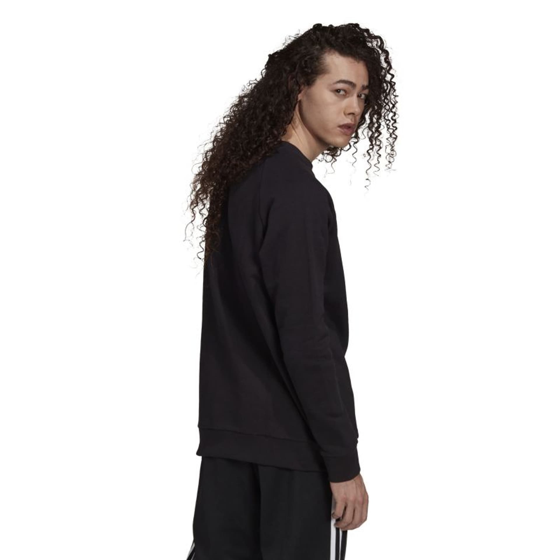 

Bluza adidas Trefoil Crew M (kolor Czarny, rozmiar M (178cm))