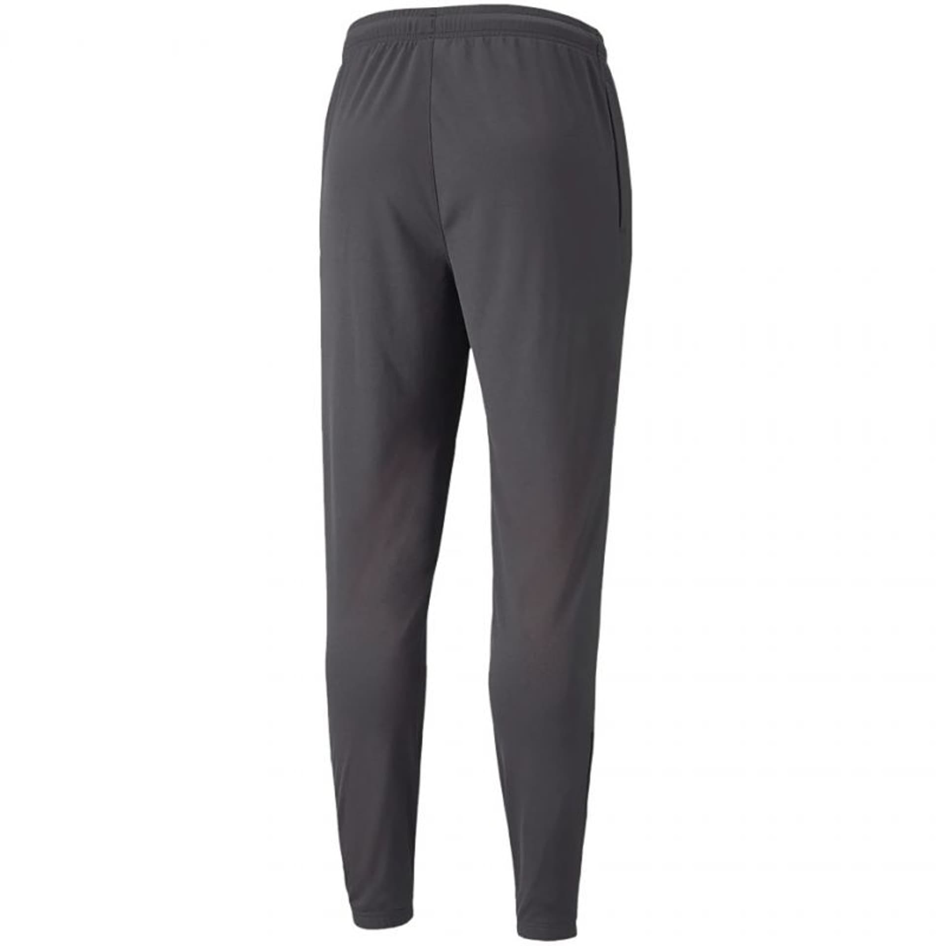 

Spodnie Puma Neymar Jr Futebol Training Pant M 605600 (kolor Szary/Srebrny, rozmiar M)