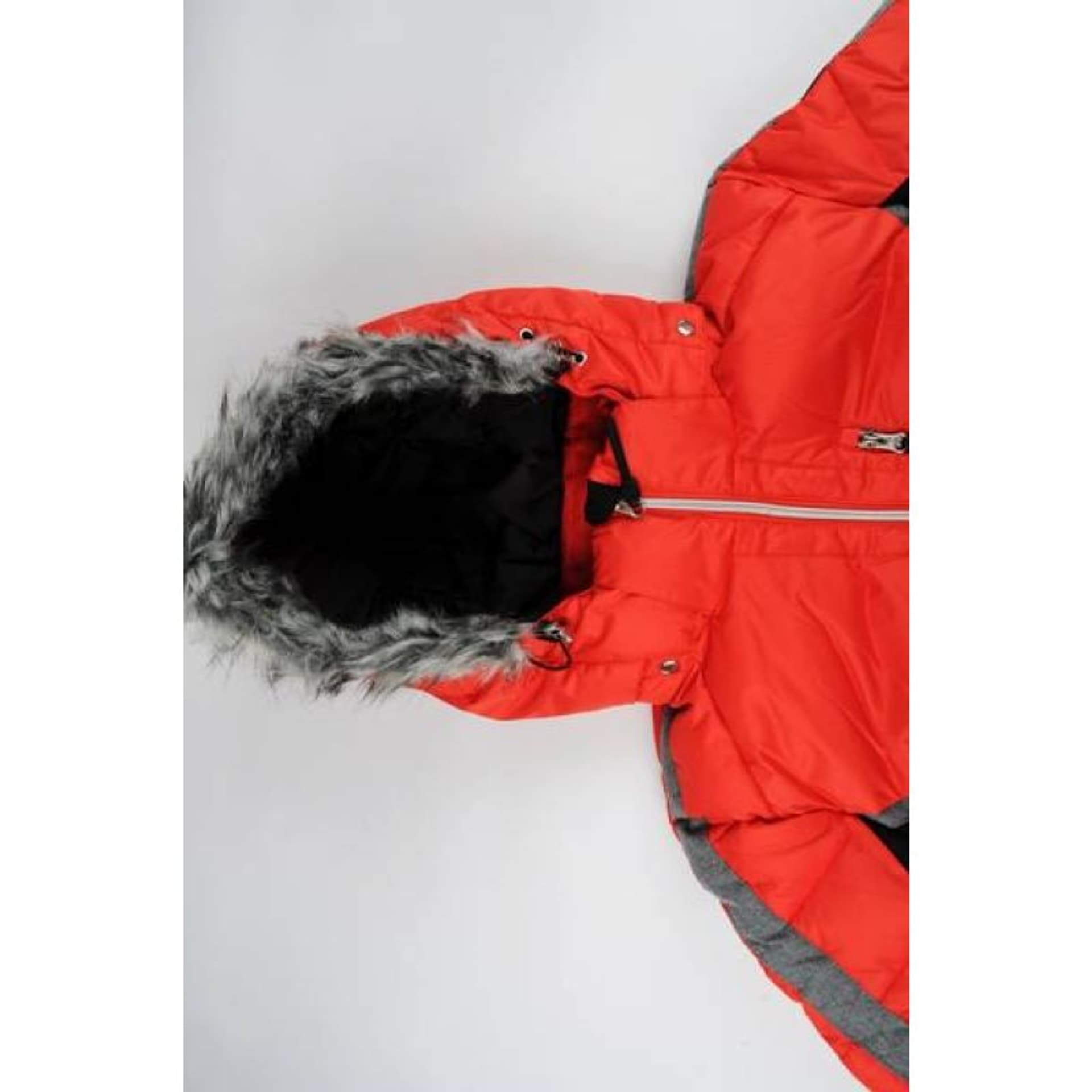 

Kurtka narciarska Icepeak Velden W 53283 (kolor Czerwony)
