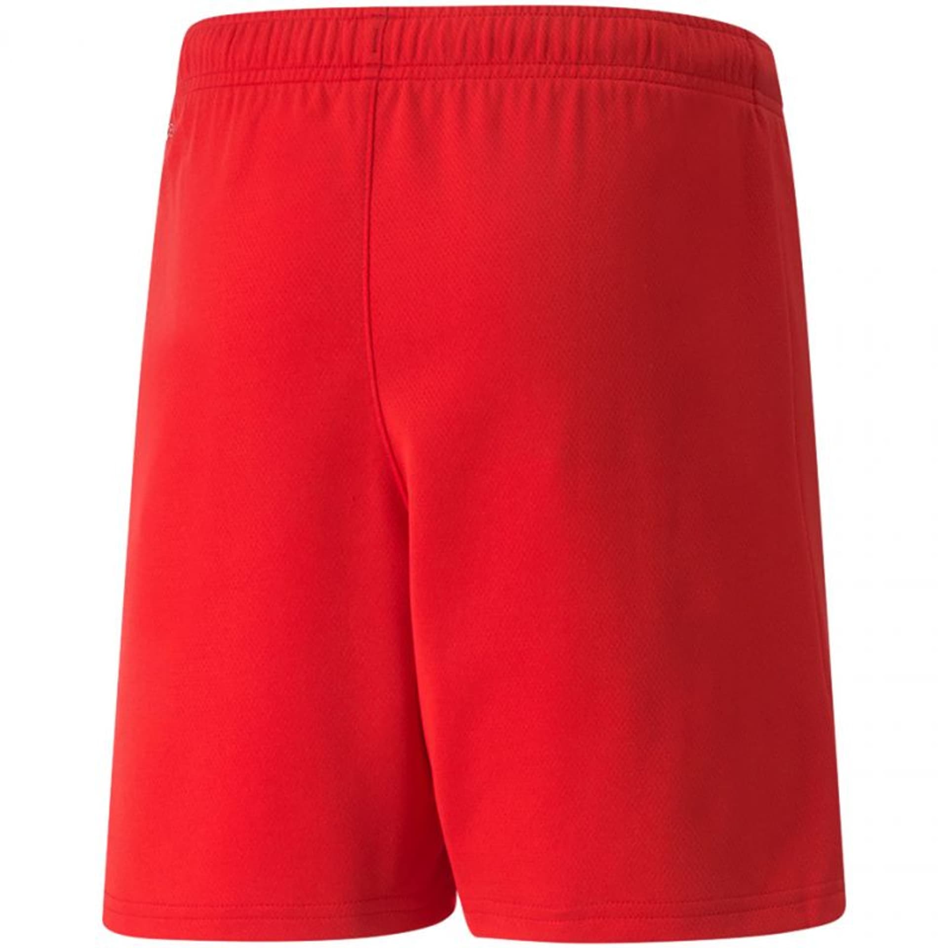 

Spodenki Puma teamRISE Short Jr (kolor Czerwony, rozmiar 116cm)