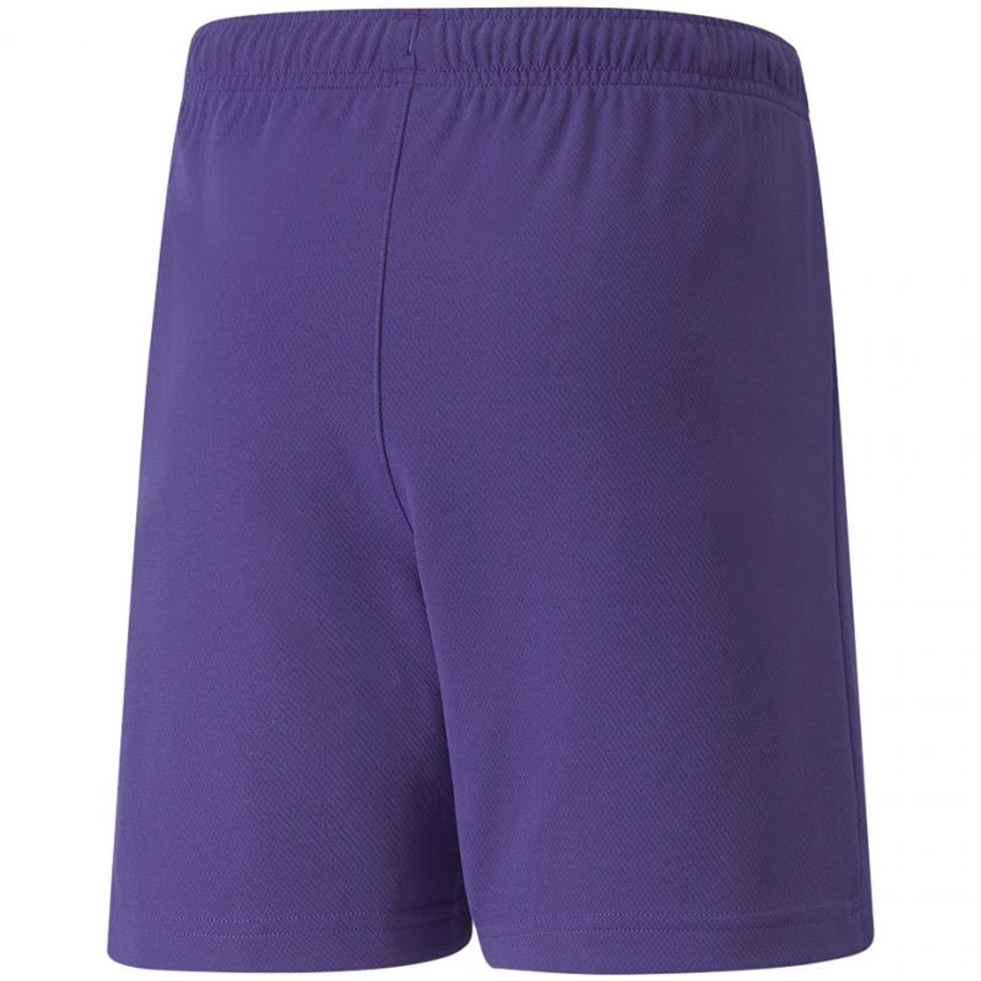 

Spodenki Puma teamRise Short Jr 704943 (kolor Fioletowy, rozmiar 164cm)