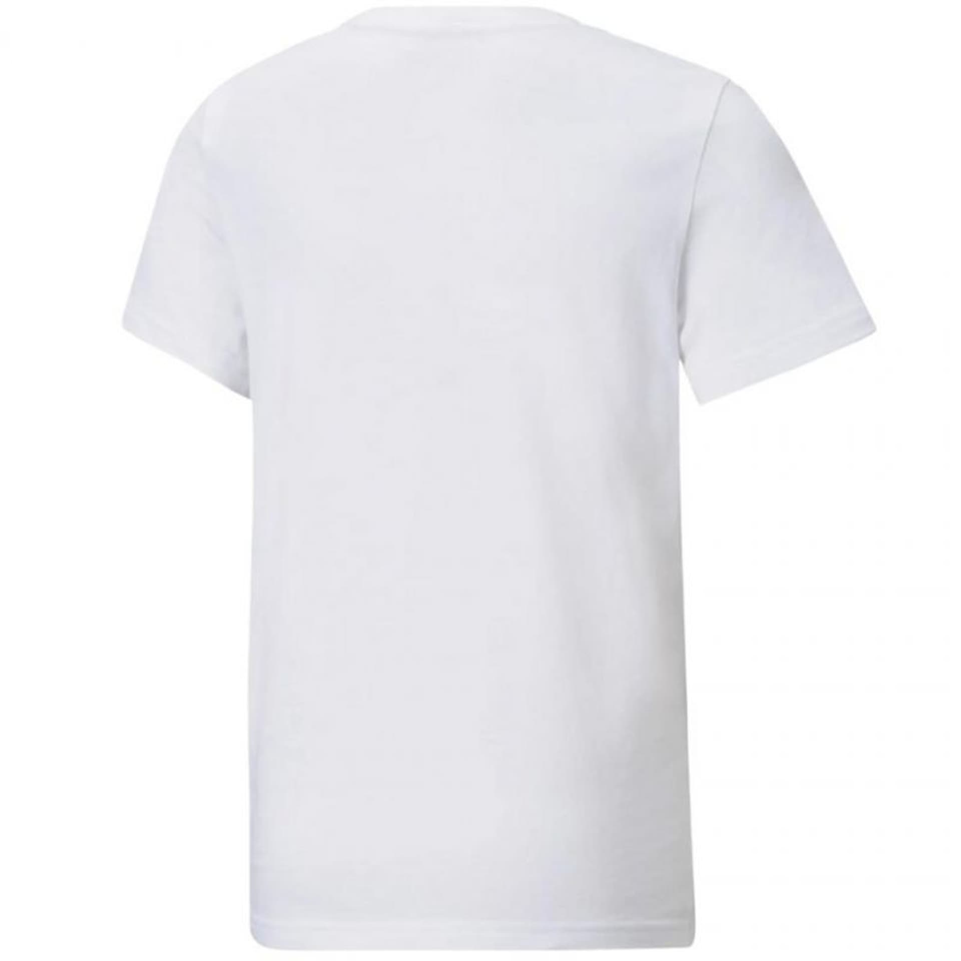 

Koszulka Puma Power Logo Jr 589302 (kolor Biały, rozmiar 152cm)