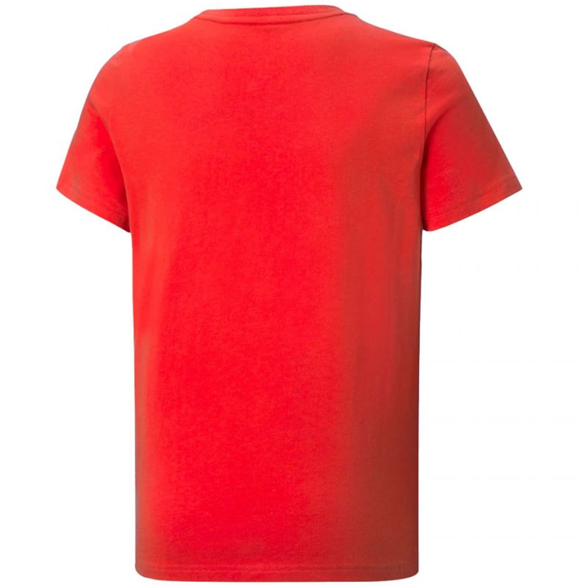 

Koszulka Puma Alpha Tee B Jr 589257 (kolor Czerwony, rozmiar 152cm)