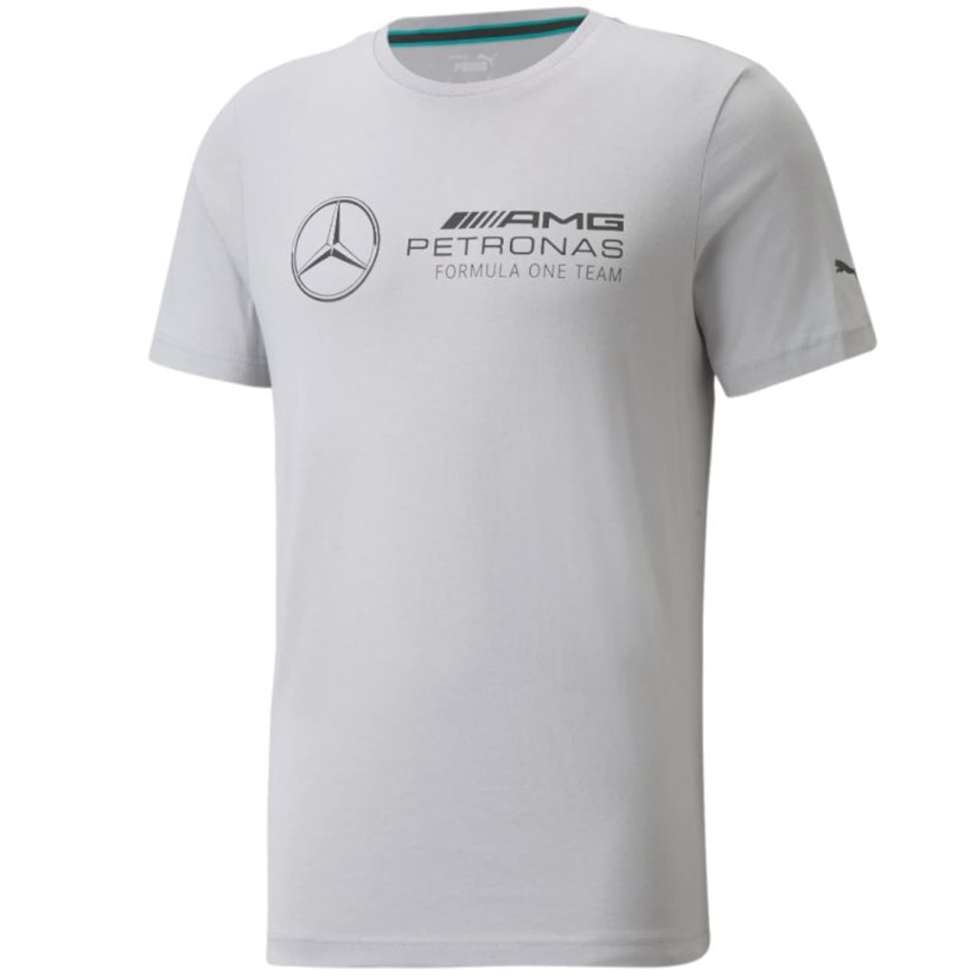 

Koszulka Puma Mercedes F1 Logo Tee M 531885 (kolor Szary/Srebrny, rozmiar M)