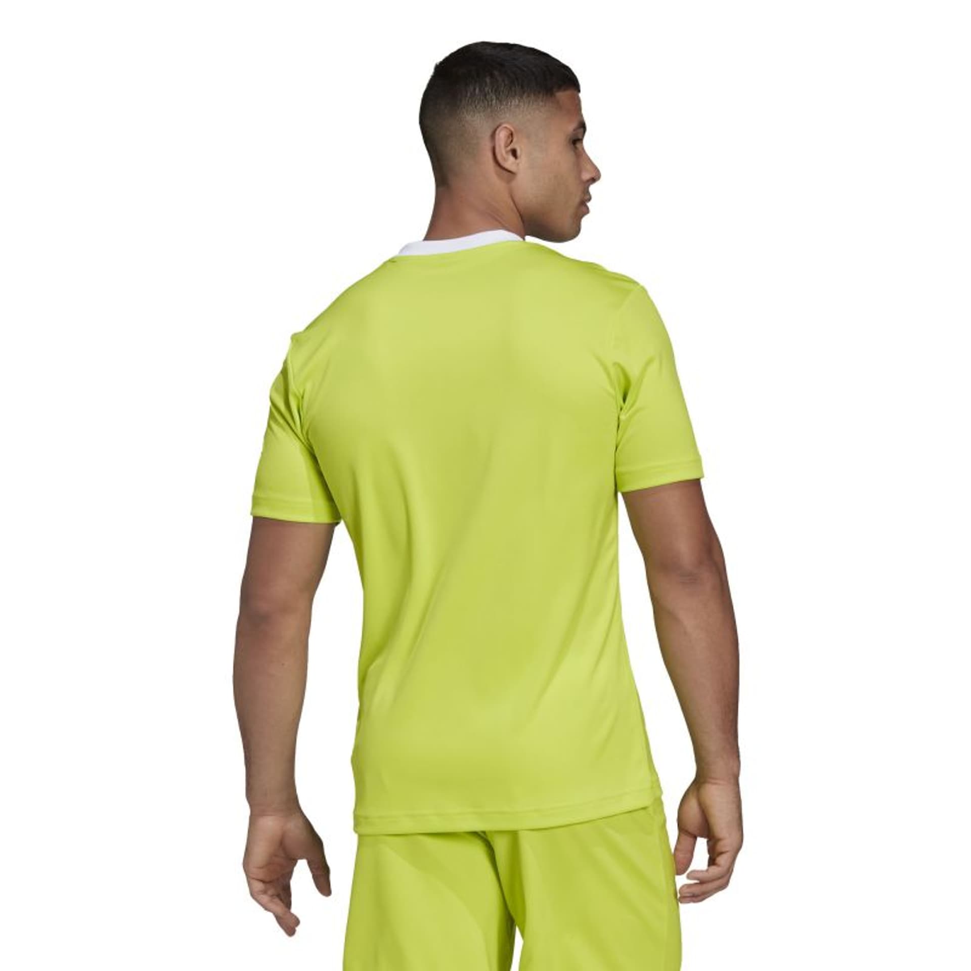 

Koszulka adidas Entrada 22 M (kolor Zielony, rozmiar S (173cm))