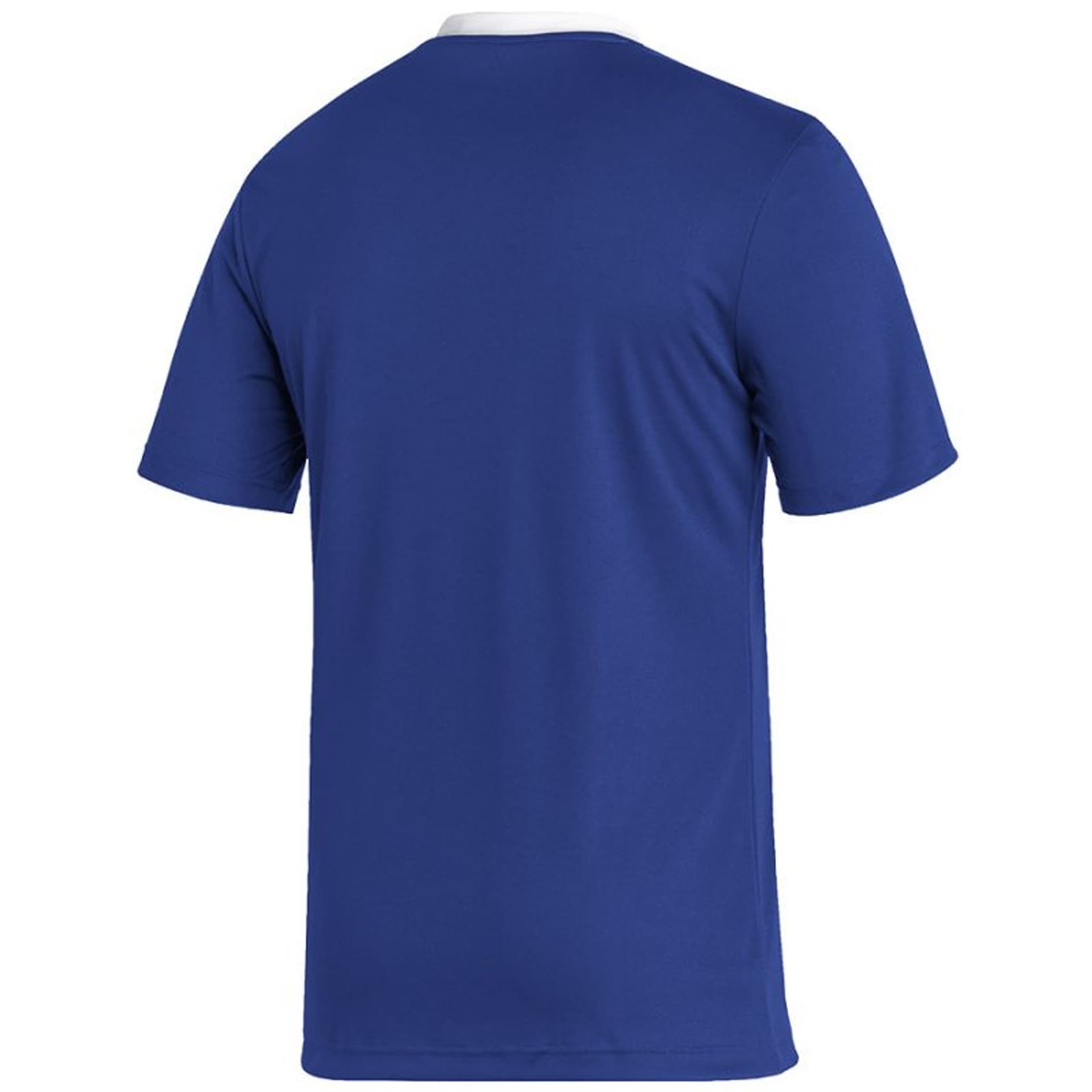 

Koszulka adidas Entrada 22 M (kolor Niebieski, rozmiar M)