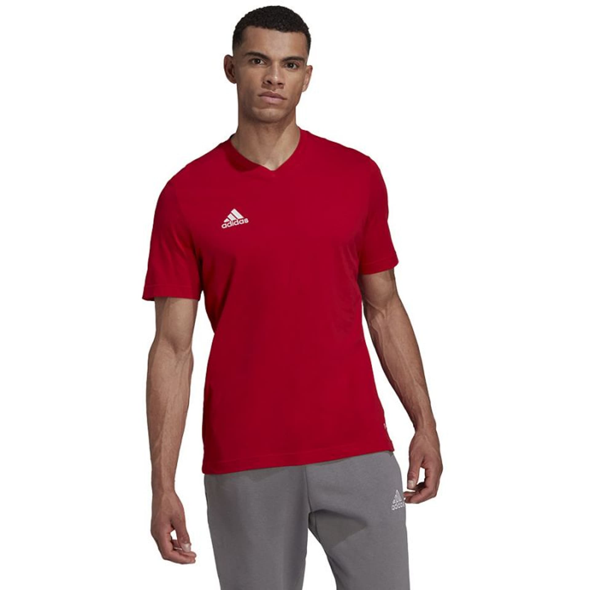

Koszulka adidas Entrada 22 Tee M (kolor Czerwony, rozmiar XXXL)